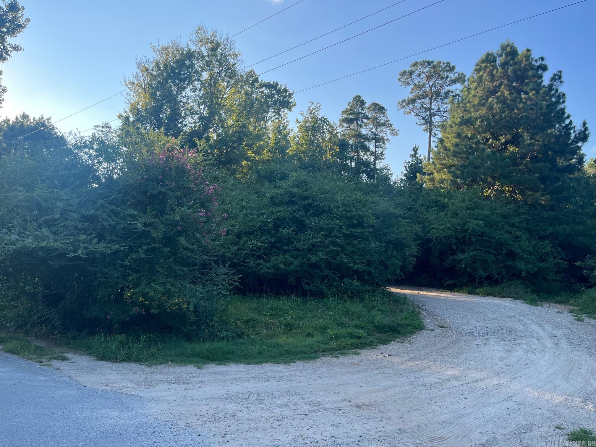 20 +/- Acres of prime land perfect for your private personal hideaway or exclusive subdivision. Teeming with wildlife for the avid hunter or for simply viewing them from your back porch. This parcel backs up to 120 Acres of Nature Conservancy for assured privacy. Bauxite School District. 10-15 minute drive to Benton and Bryant for all of the conveniences of Shopping, medical care, and restaurants. A quick 30 miles to Little Rock and the Clinton International Airport.