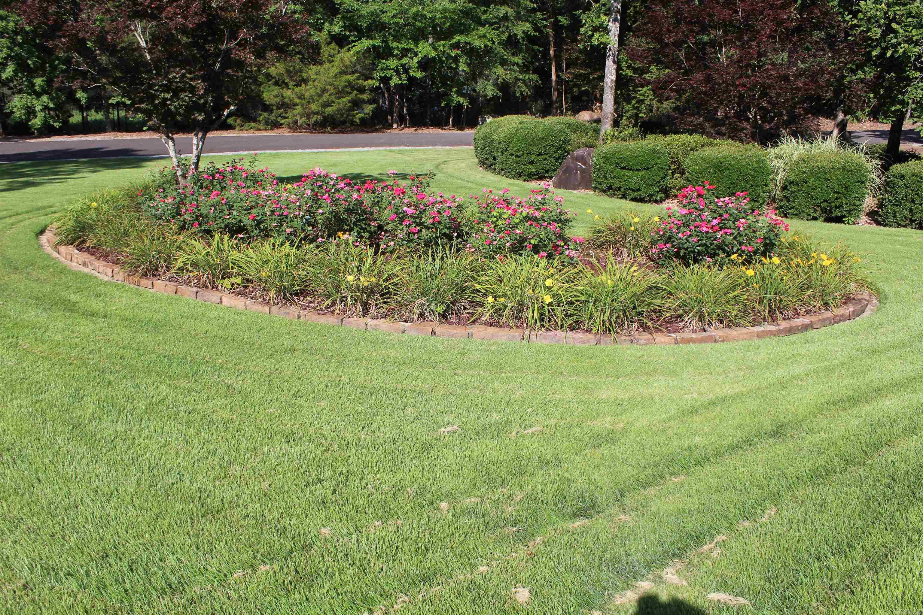 Sorpresa - Residential