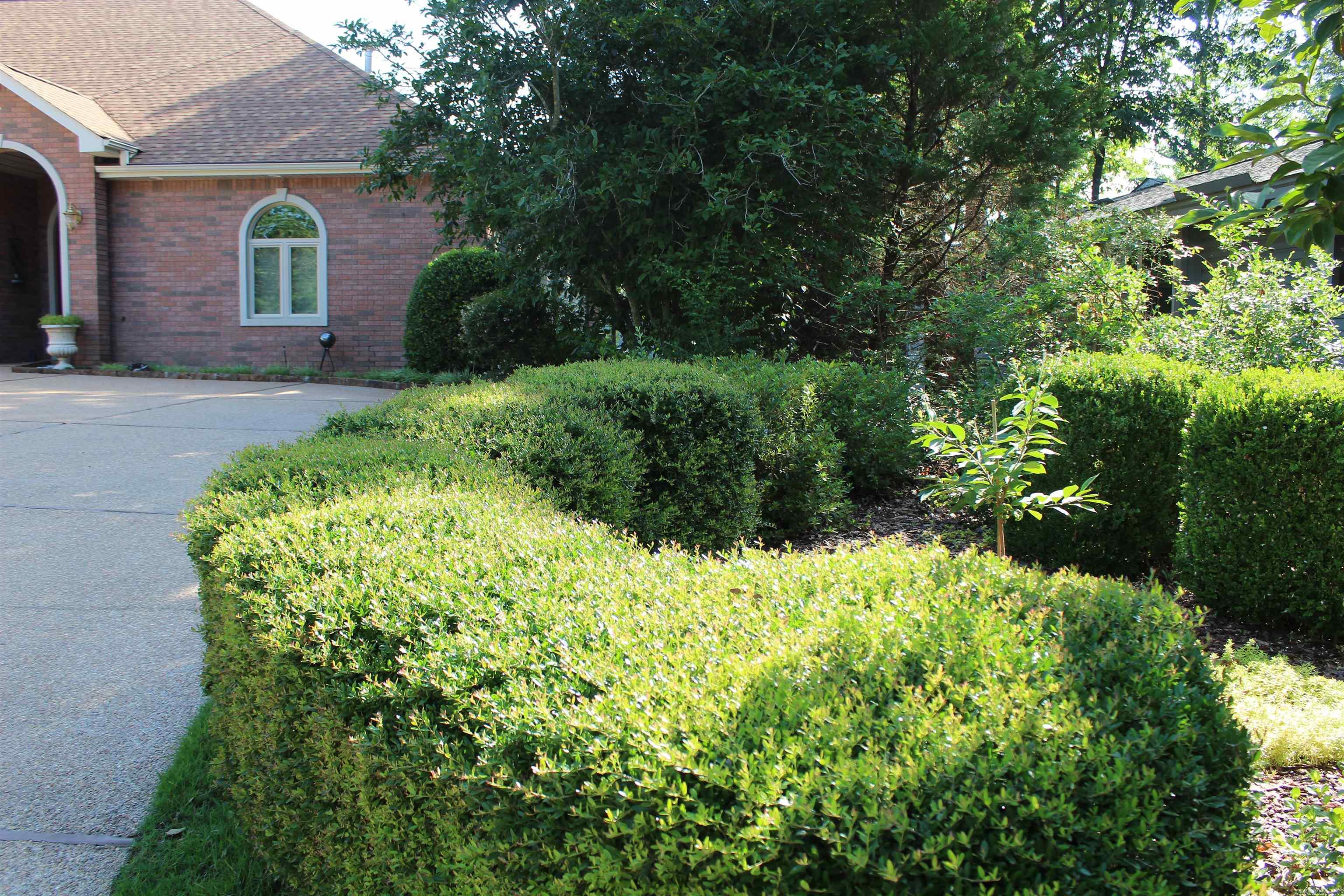 Sorpresa - Residential