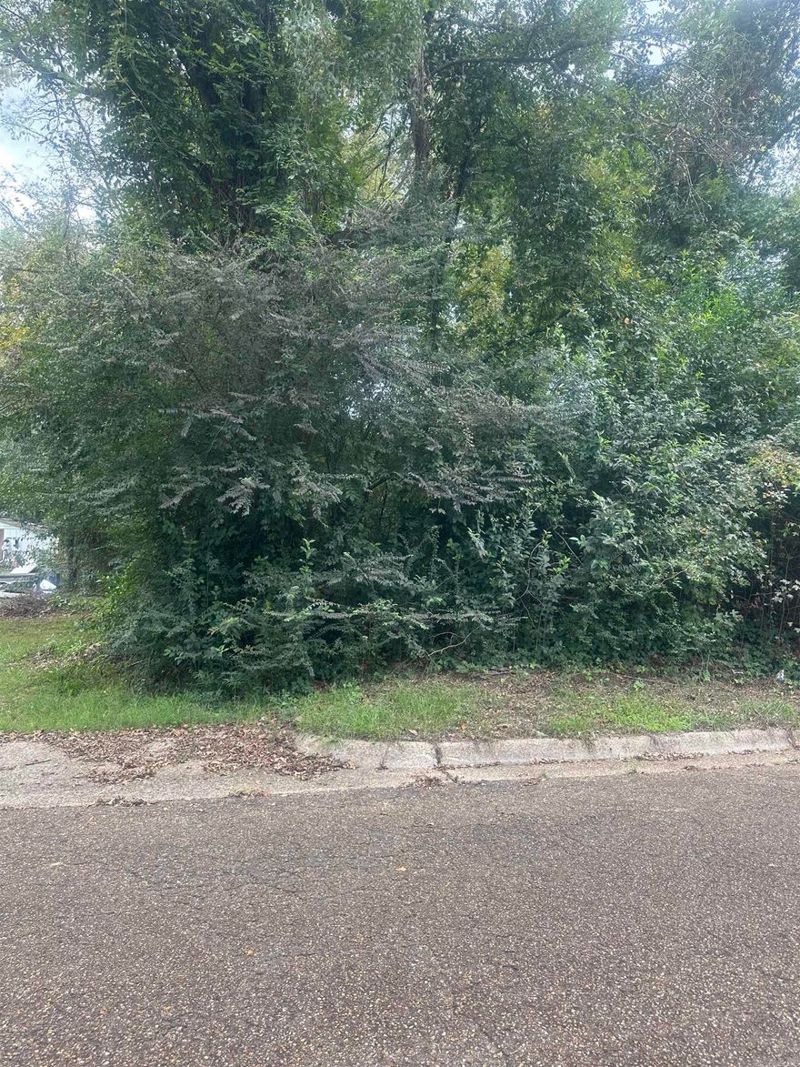 Enjoy the convenience of city living while still having your own private space to create what you’ve always envisioned. Whether you’re looking to build now or hold for future use, this lot offers versatility and value in a great location!