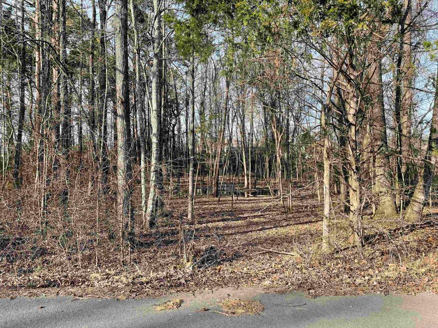 Wooded lot in subdivision.