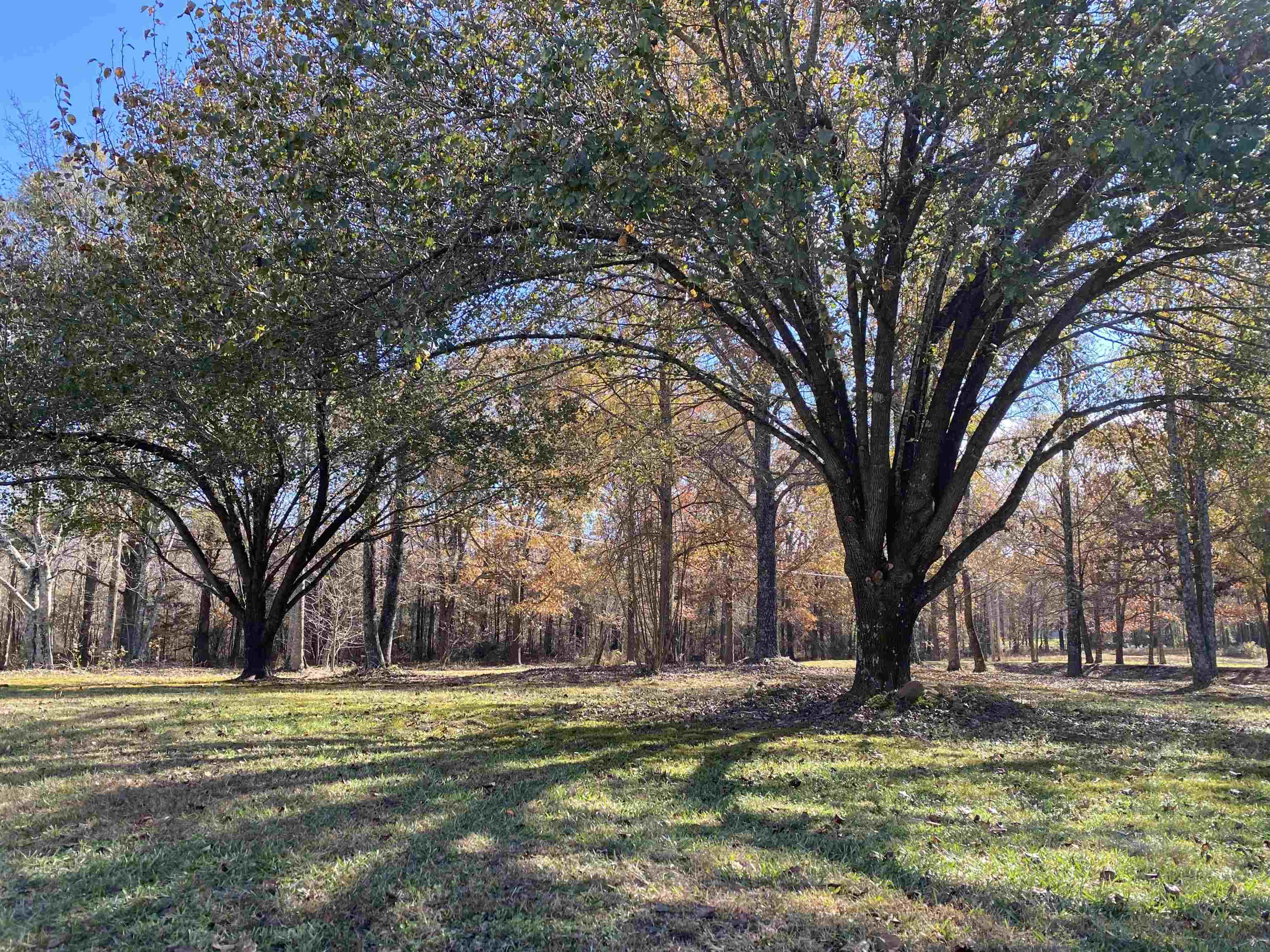 Caldwell Farms-Deerwood - Residential