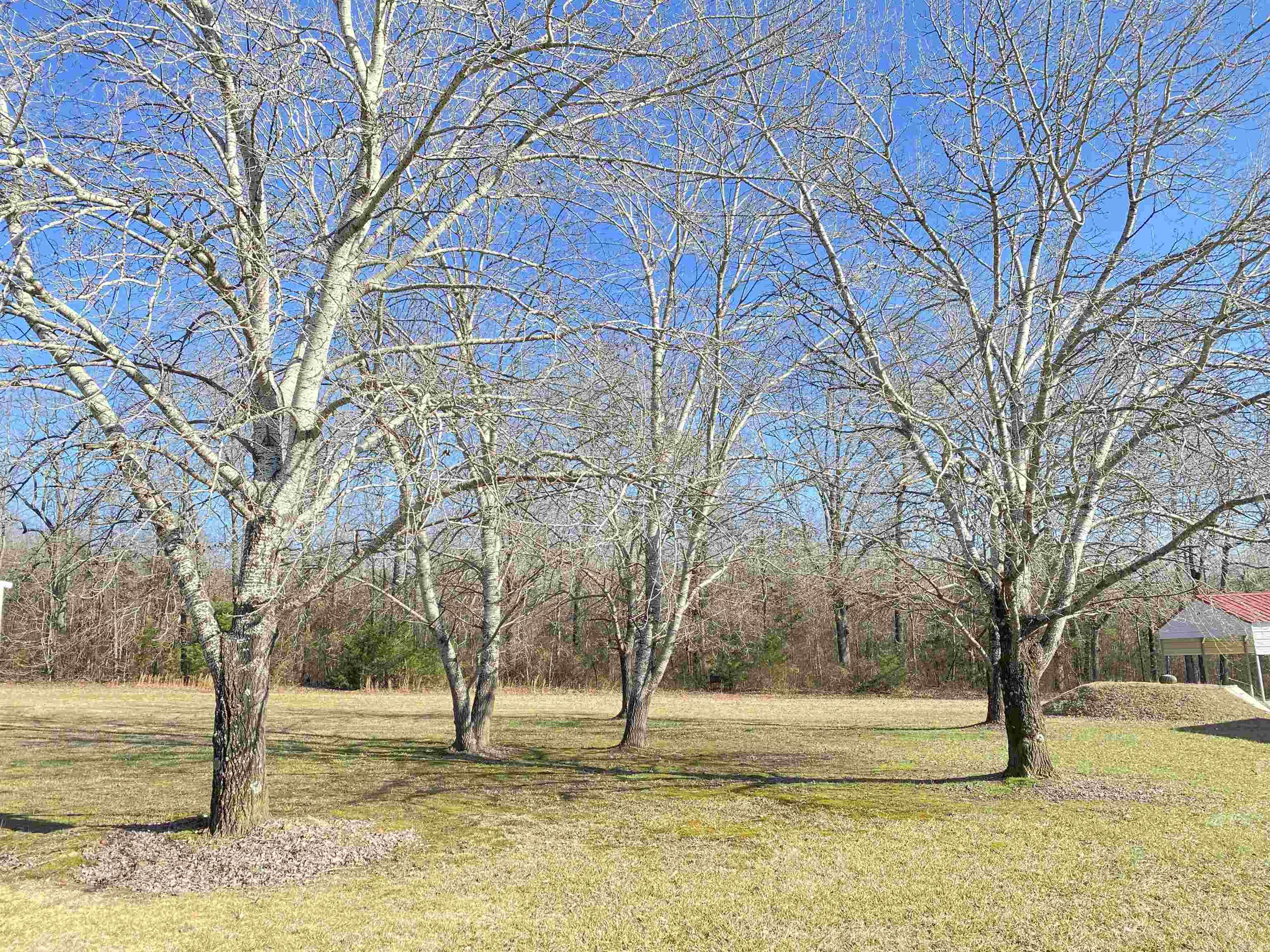 Caldwell Farms-Deerwood - Residential