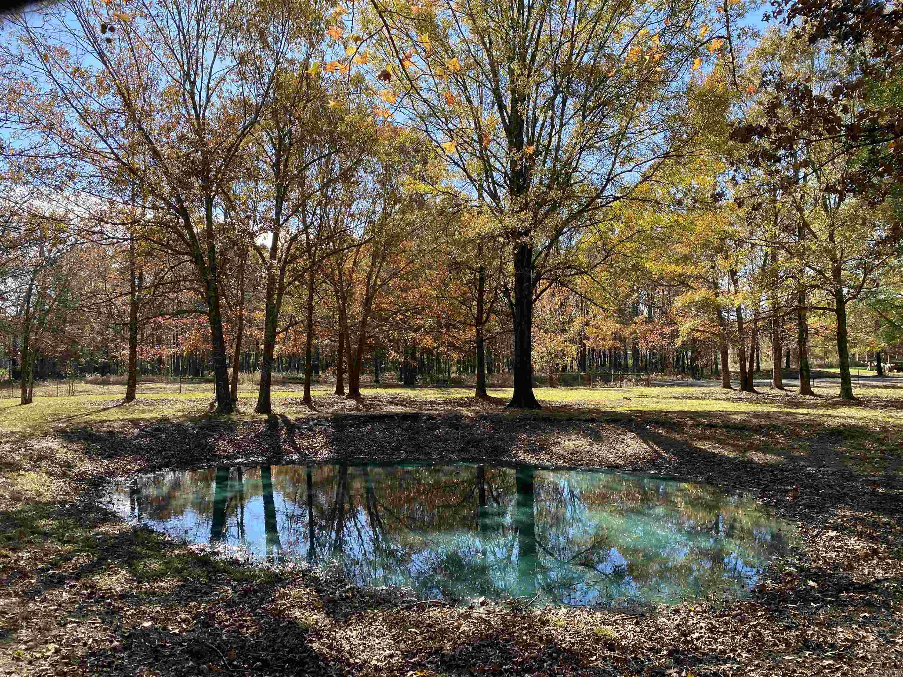 Caldwell Farms-Deerwood - Residential