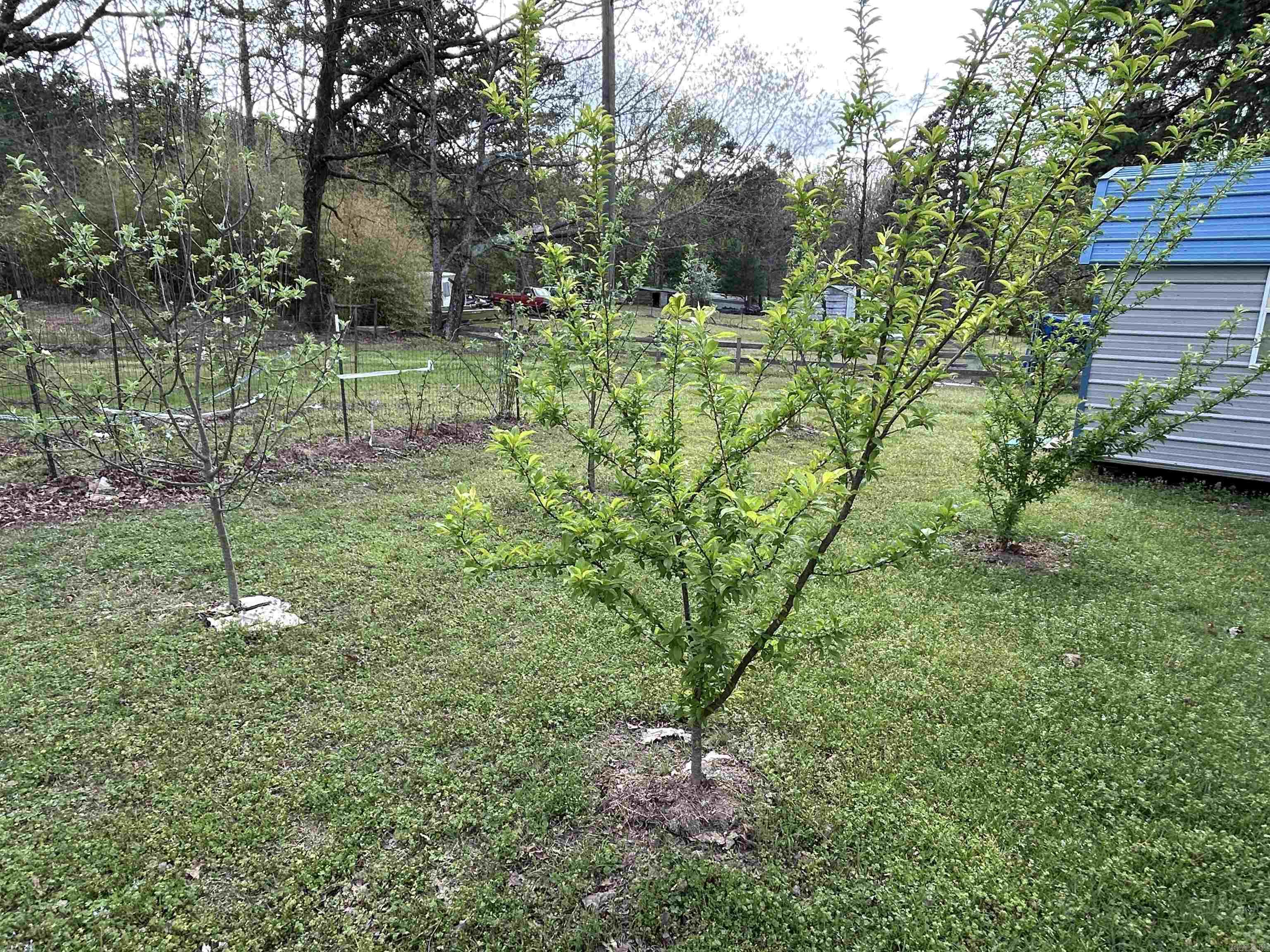 THORNBURG - Residential