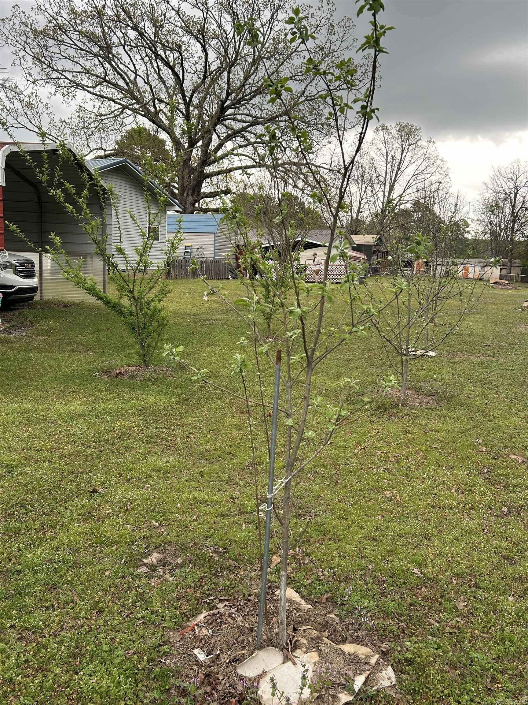 THORNBURG - Residential