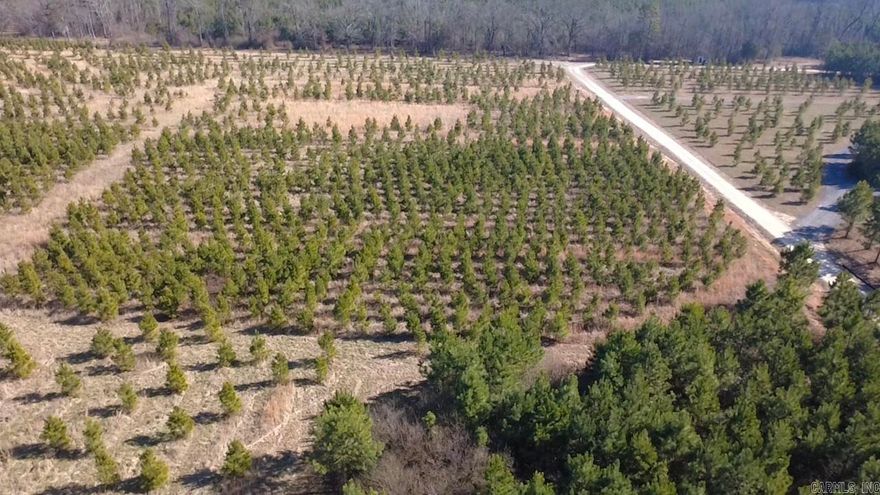 4.54 CLEARED ACRES NEAR LAKE WILHELMINA! Ready to build? This beautiful 4.54-acre tract with mountain views is already cleared and level, making it the perfect spot for your dream home, cabin, or weekend getaway! Located just minutes from Lake Wilhelmina, you’ll enjoy easy access to fishing, boating, hiking, and all the outdoor fun the area is known for. Whether you’re planning to build now or invest for the future, this property offers the space, location, and potential you’ve been looking for. Survey on file. Don’t miss this opportunity—land this close to the lake doesn’t last long!