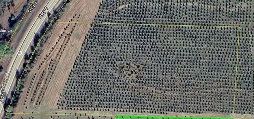 4.54 CLEARED ACRES NEAR LAKE WILHELMINA! Ready to build? This beautiful 4.54-acre tract with mountain views is already cleared and level, making it the perfect spot for your dream home, cabin, or weekend getaway! Located just minutes from Lake Wilhelmina, you’ll enjoy easy access to fishing, boating, hiking, and all the outdoor fun the area is known for. Whether you’re planning to build now or invest for the future, this property offers the space, location, and potential you’ve been looking for. Survey on file. Don’t miss this opportunity—land this close to the lake doesn’t last long!