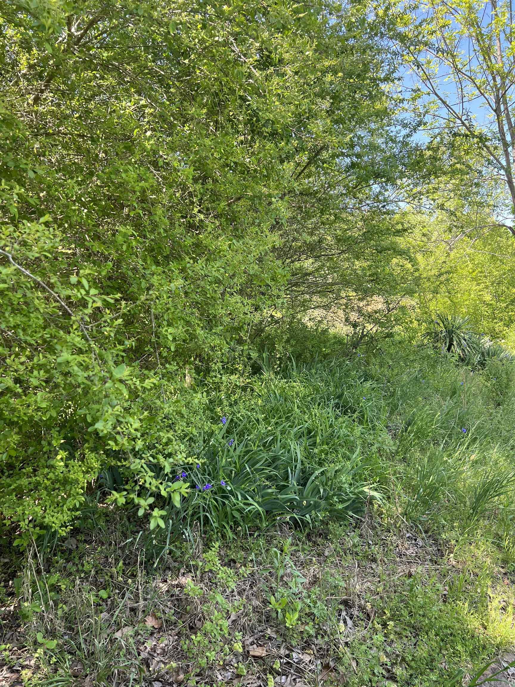 NORTH ADDITION - Land
