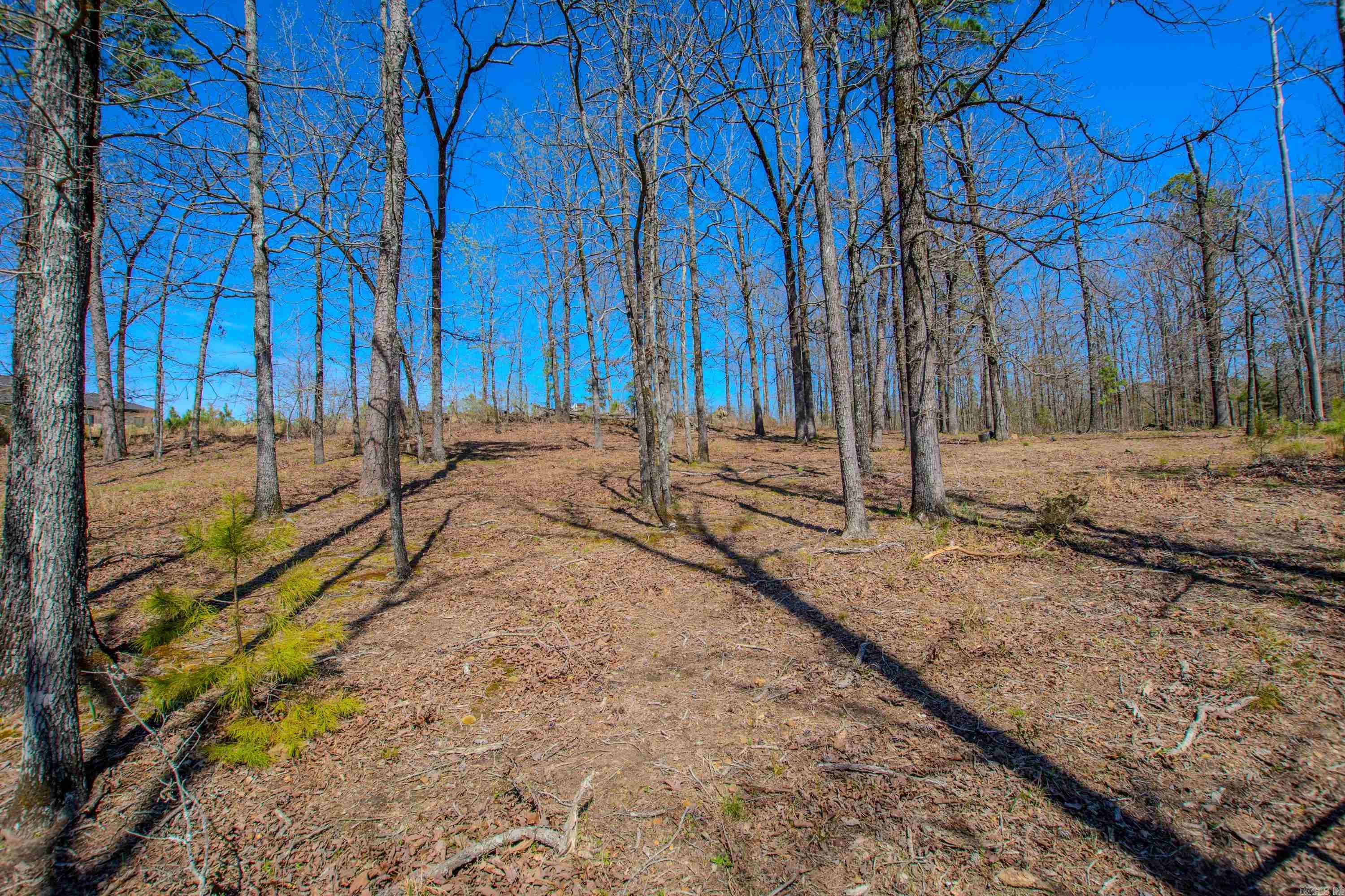 ROCK CREEK RIDGE - Residential