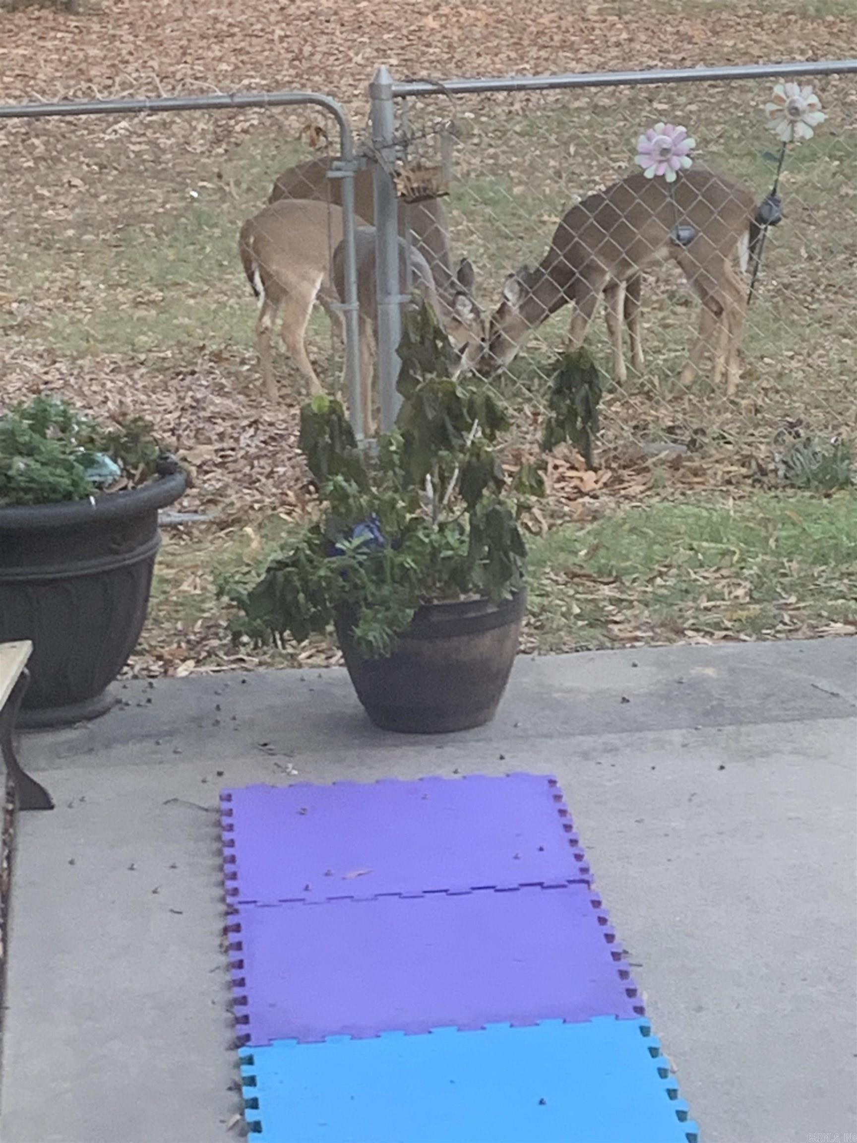 DEER CREEK - Residential