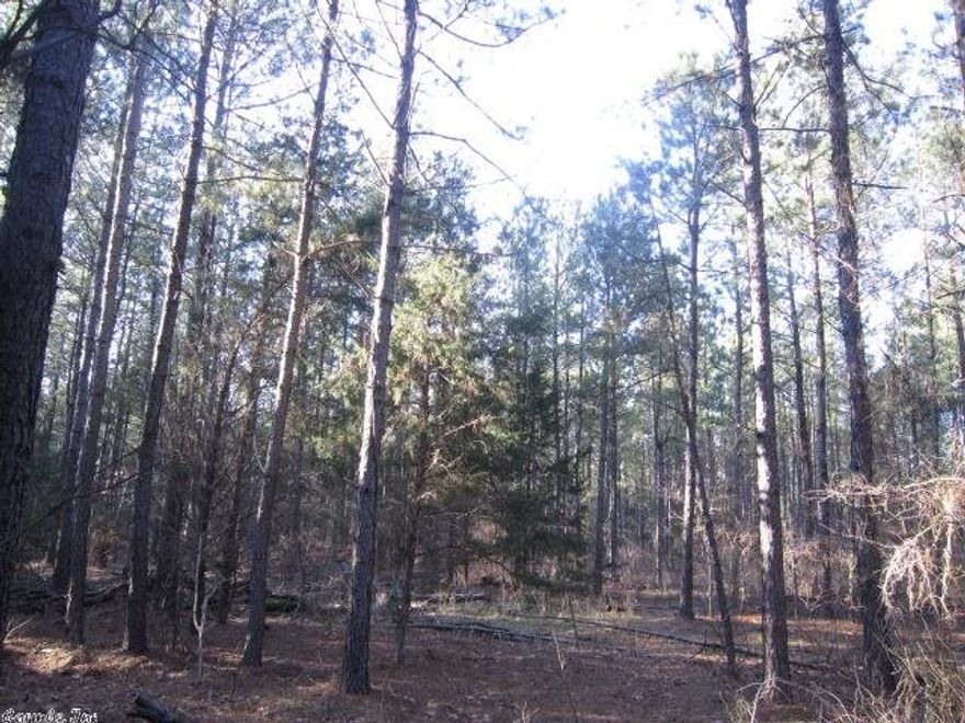 155 acres. Allow the timber to assist in making the payments on this secluded recreational gem. Cruise standing timber value is over $22,000 of pine plantation only. Joins State Hwy 307, half way between Dardanelle and Danville. Pine and hardwood abound. Please find trail cam photos attached.