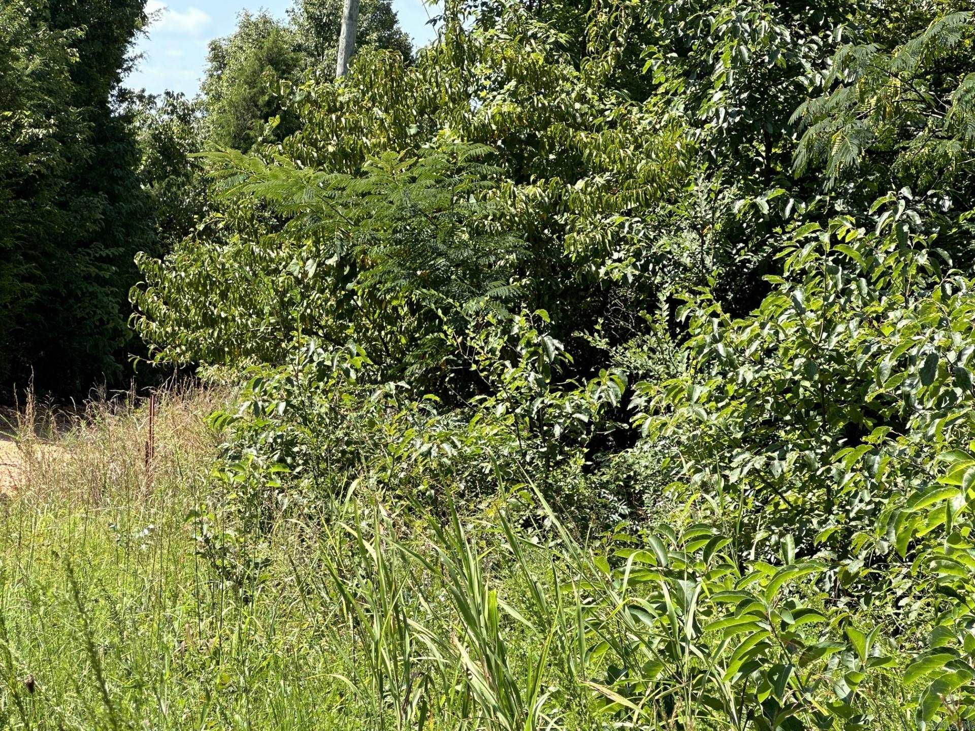 Not in Subdivision - Land