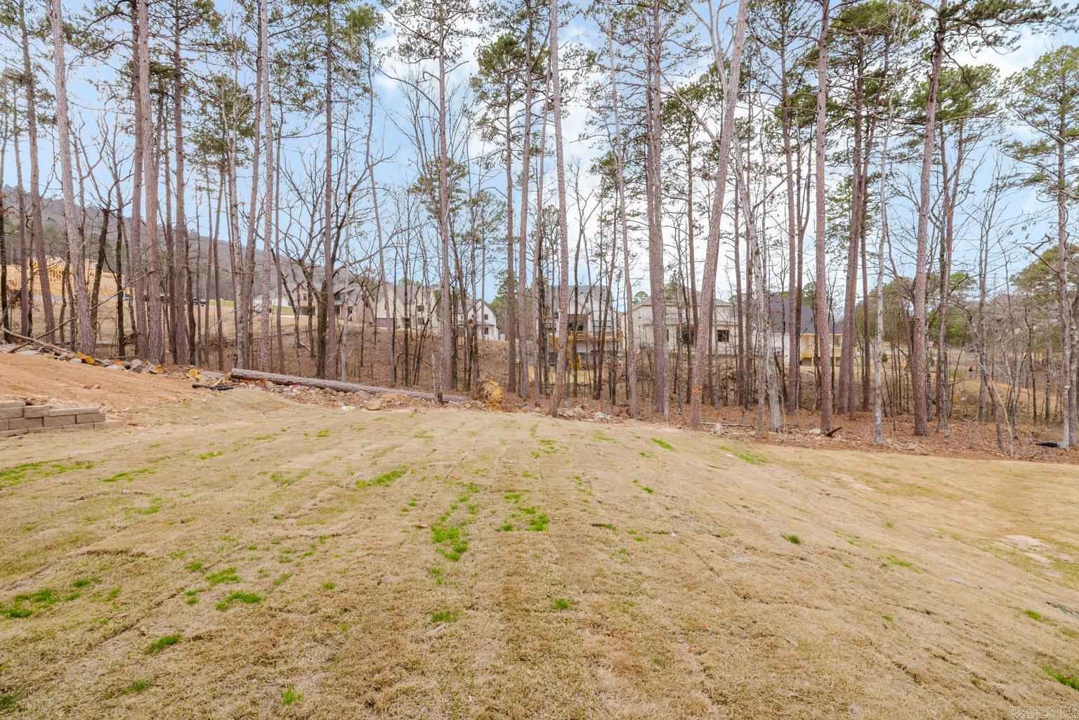 CHENAL VALLEY CALION COURT - Residential