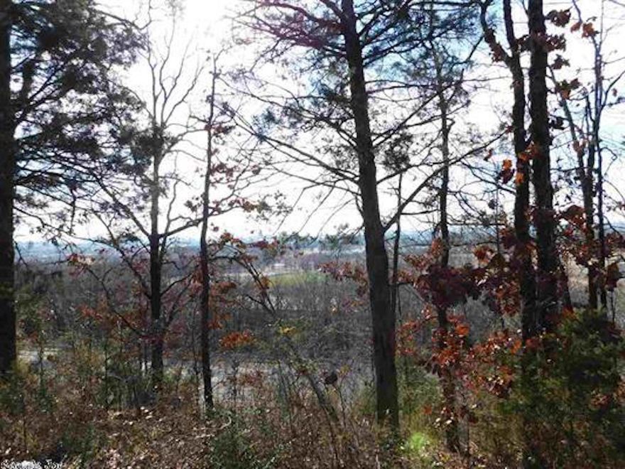 Beautiful view overlooking East Conway. Water and electric to property.