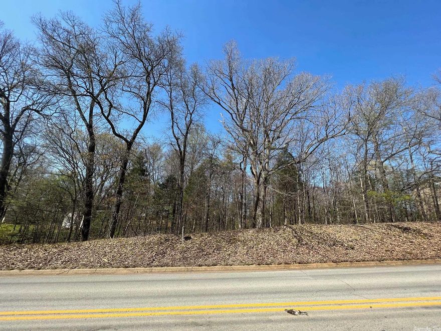 Check out this wooded residential building lot in a desirable Southwest Jonesboro in the Jonesboro School District. Dimensions are approx 100X150 per tax assessor data. This is a hard to find at his price in this area.