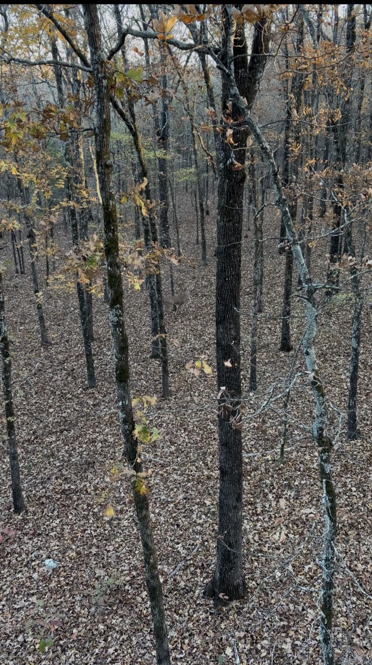 Not in Subdivision - Land