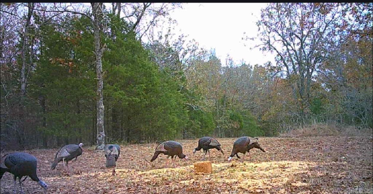 Not in Subdivision - Land