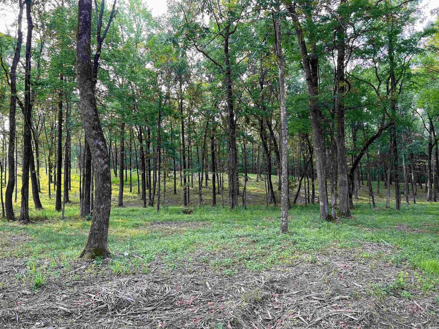 Welcome to The Woodlands at Weaver Farm Rd. This is a gorgeous 5 acre tract in the only gated community in Vilonia.  This 5 acres features a mix of pines and hardwoods with a wet weather creek on the front side of the property that then slopes up to a beautiful ridge perfect for a home site.  This beautiful gated community also has has a 13 acre community area with a lake for the homeowners to enjoy. Quiet and secluded. Survey, covenants and restrictions on file along with a perc test has already been completed. Property has been forestry mulched to clear out all underbrush.  Utilities are located at the rd. Must have a licensed agent with you to view the property. GPS WILL LIKELY NOT TAKE YOU TO THE CORRECT GATE ENTRANCE. PLEASE READ THE DIRECTIONS REMARKS HERE IN THE MLS. AGENTS SEE REMARKS