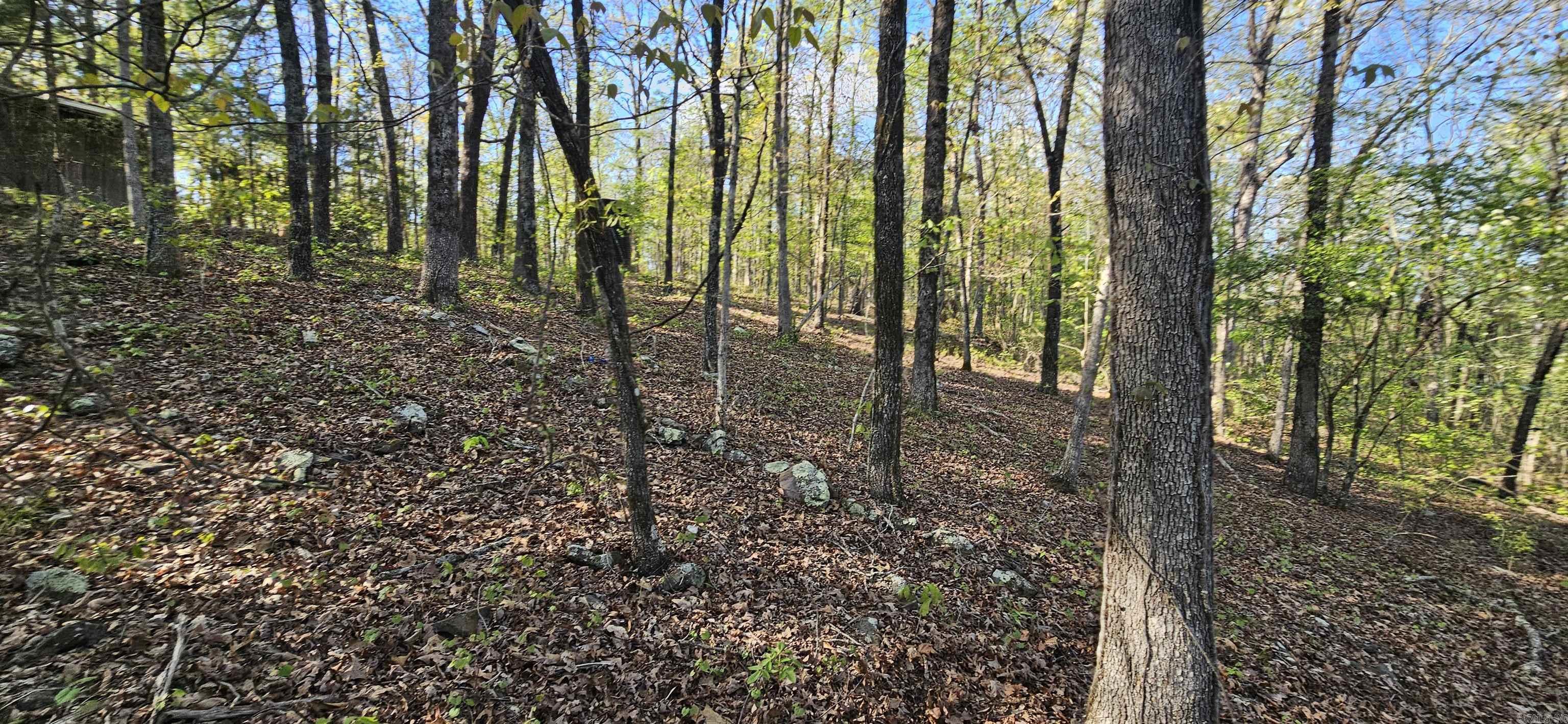 Not in Subdivision - Land