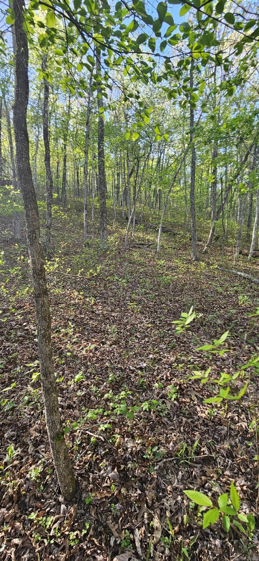 Not in Subdivision - Land