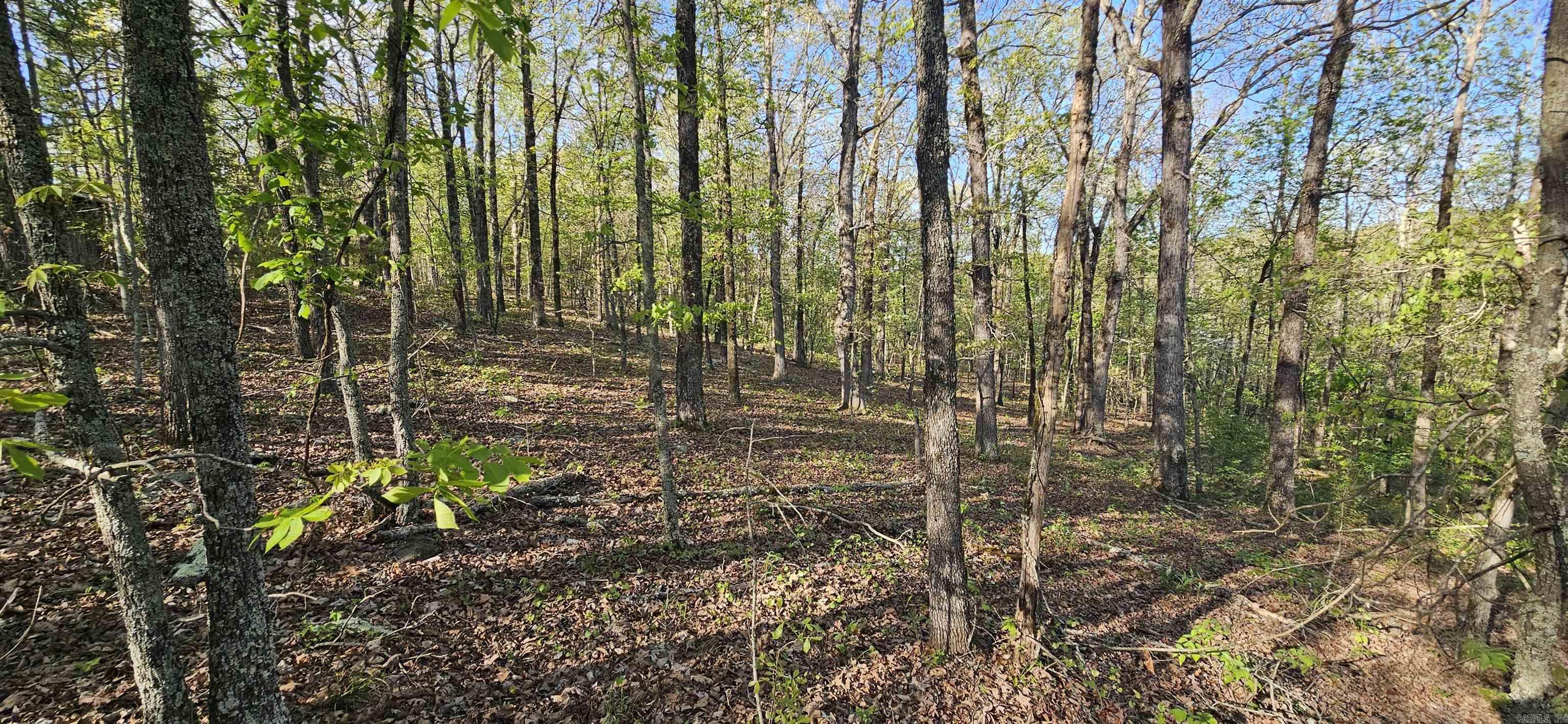 Not in Subdivision - Land
