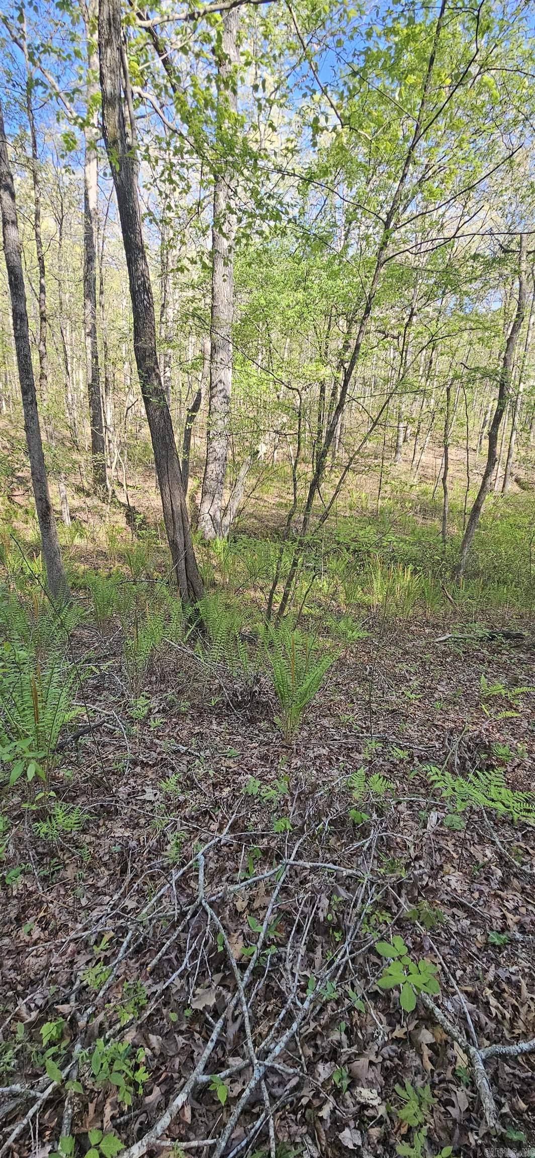 Not in Subdivision - Land