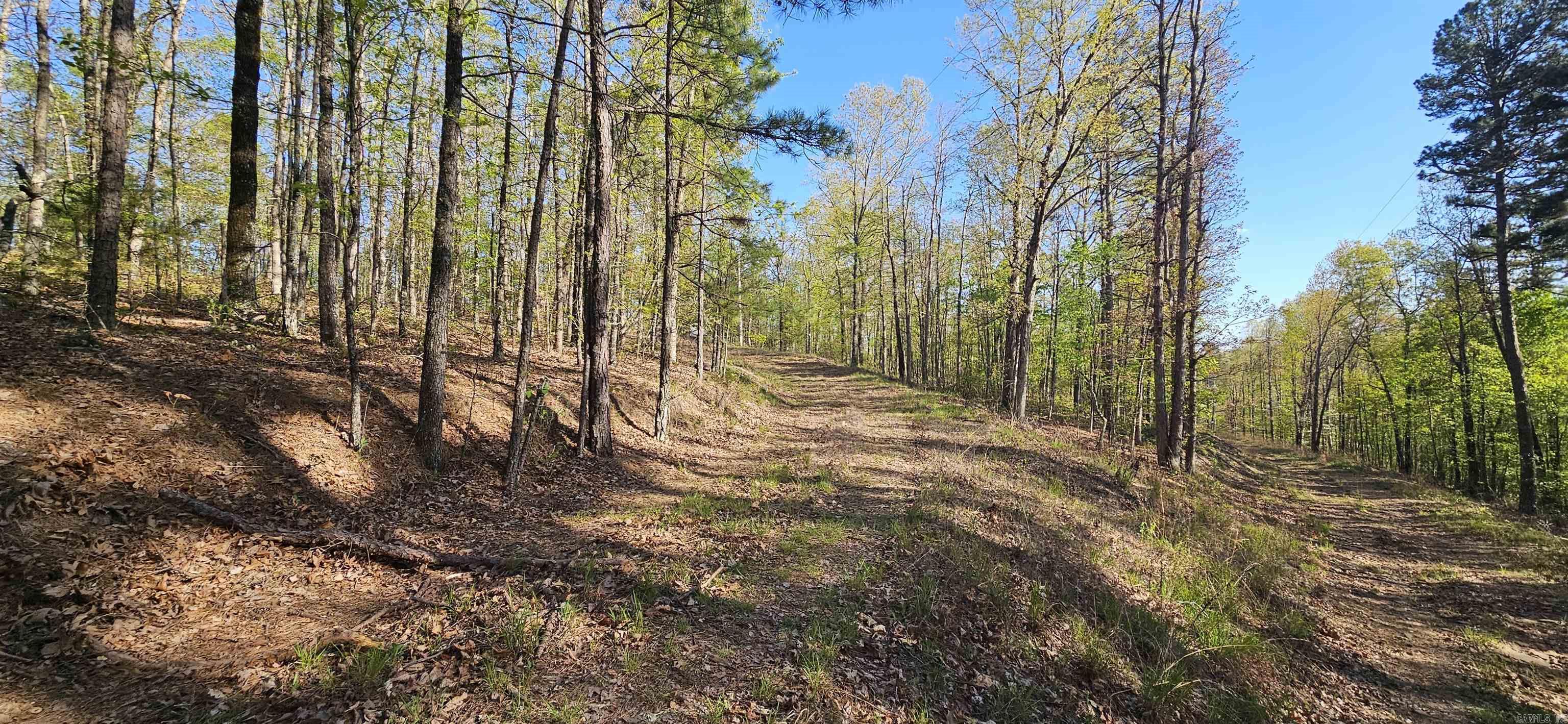 This property is about a mile deep into the woods. Super nice property. Has a large flat area, small stream, electric, plus a well. Several buildings that can be reconfigured to your liking. Super great place for a hunter or someone who wants to live off the grid. Priced to sell one of a kind. The road is rough going in. Great for a jeep, 4x4 truck, side by side. Lots of good timber to build your own cabin. all four corners are marked. Plenty of wildlife, deer and bear plus other varmints.