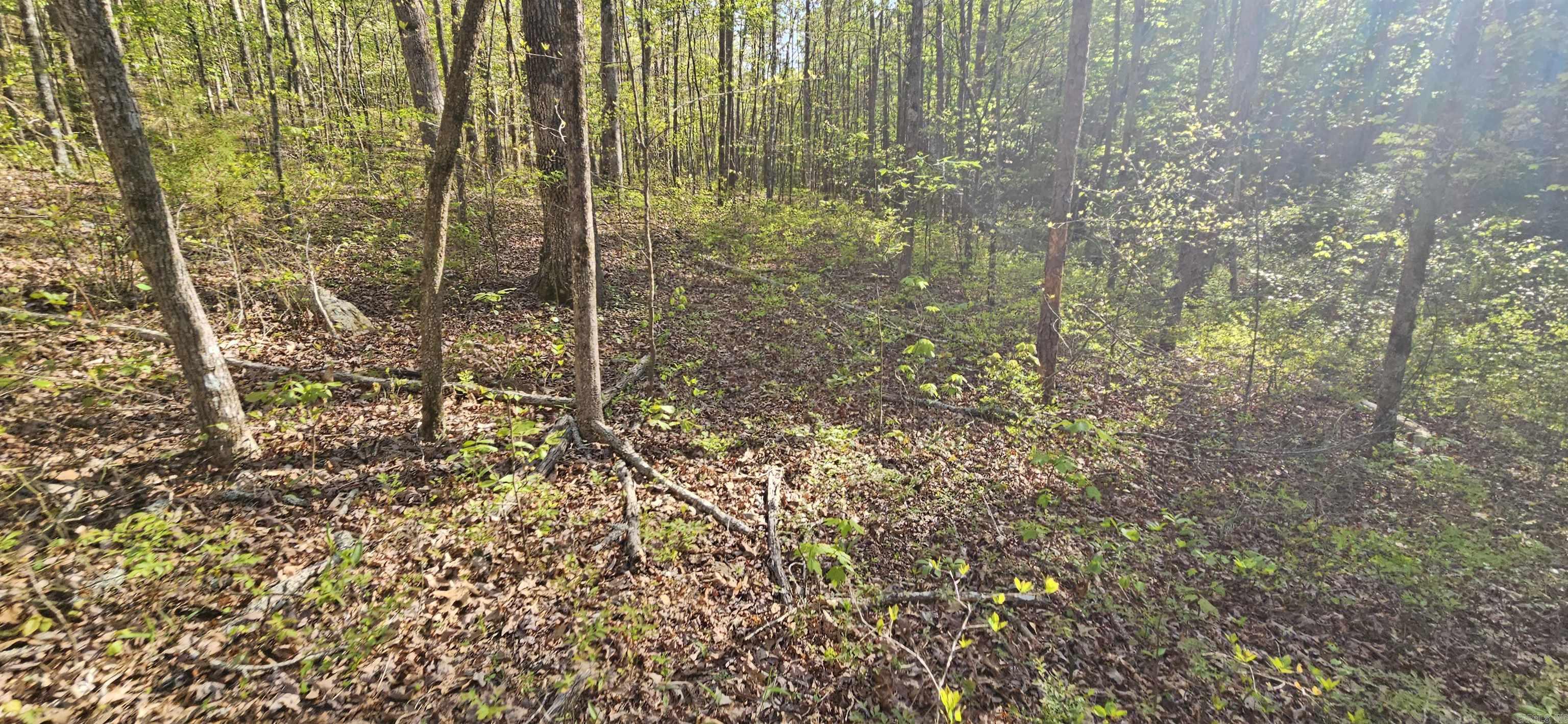 Not in Subdivision - Land