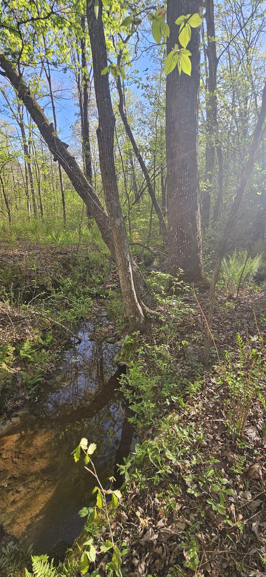 Not in Subdivision - Land