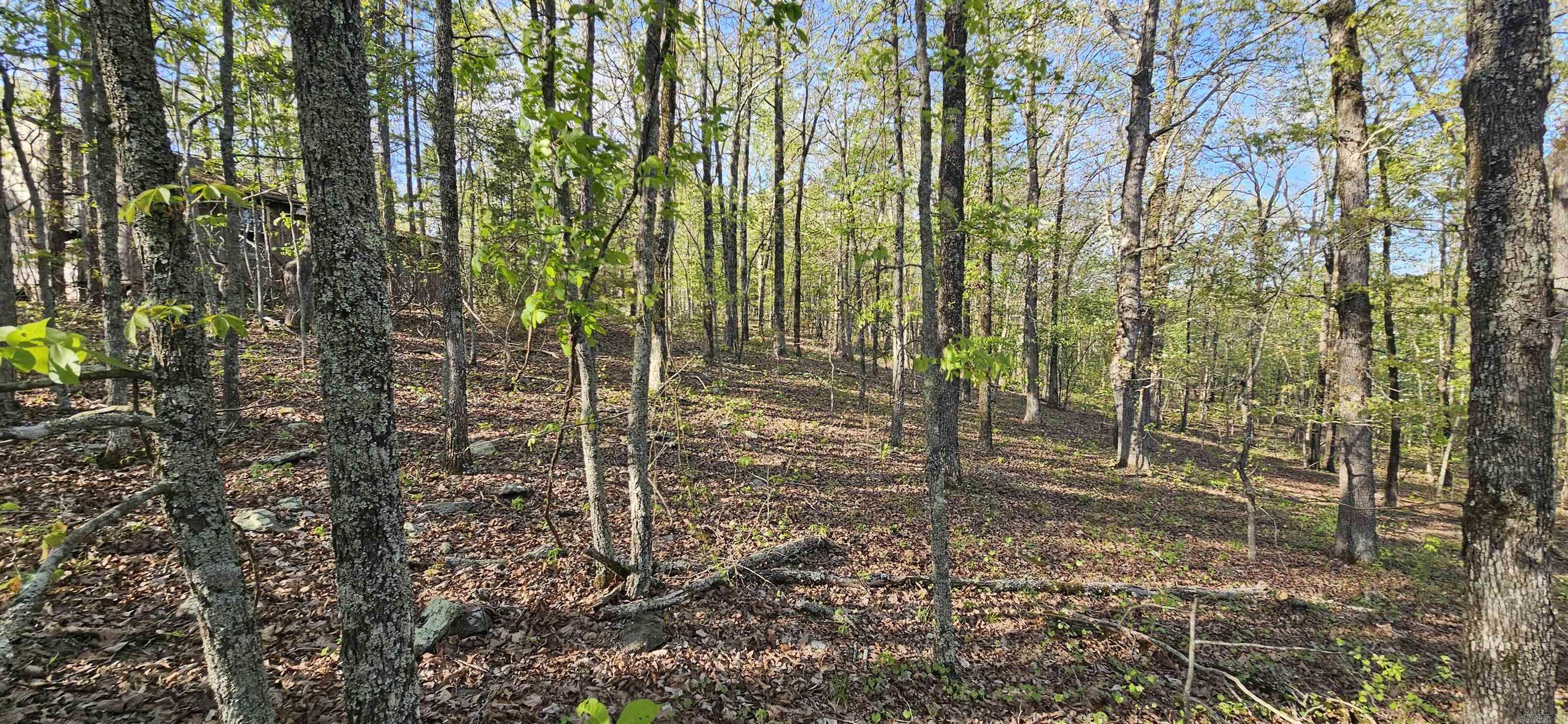 Not in Subdivision - Land
