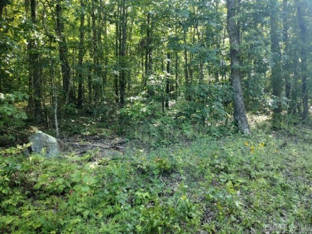 10 Acres of Stunning Wooded Land ā Your Arkansas Retreat Awaits! Seize the chance to own 10 pristine acres of AR wilderness, just minutes from Greer's Ferry & the lakes! This breathtaking, mostly wooded parcel is complemented by striking natural boulders and lovely deer. Perfect for your dream home, private cabin, or recreational getaway, this land is a nature loverās paradise ready for your vision. With key utilities already in place, building is a breeze. Owner financing is available.