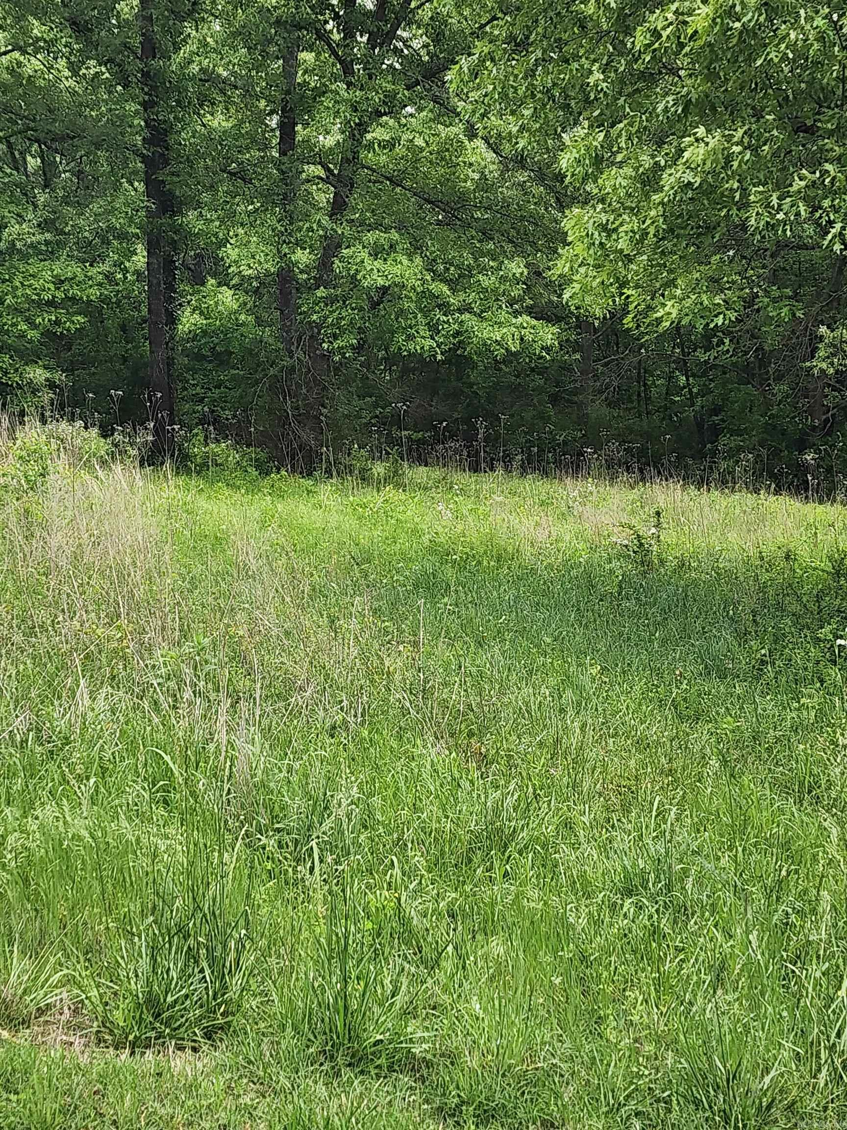 Riverview Estates - Land