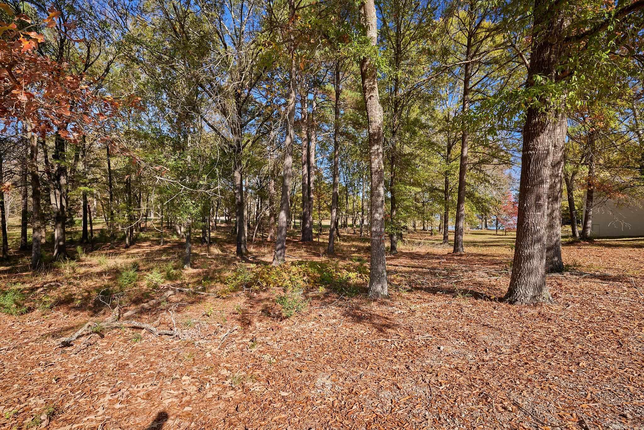 CAROLINE ACRES - Residential