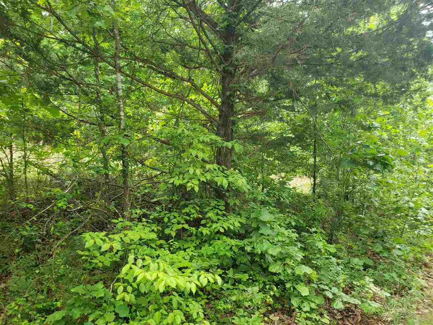 Nice lot with a gentle front to back upward slope. This lot sits high up on Flathead Ridge with a possible great view over the Southfork River Valley. Flat head is a well maintained road in the village. Come check this lot out, check out the view and see where you want to put your vacation home or your forever home. retire here and fish 7 different lakes and golf 2 different 18 hole golf courses. Shop in Old Hardy town and trout fish the Spring River. Thats living the Cherokee Village lifestyle.