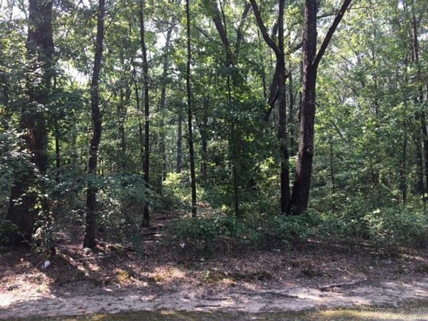 How would you like to drive home to this slice of country in the heart of Sherwood? With a such a beautiful stand of trees, you could feel like you live in the forest in the middle of the city. This is an ideal level lot for a slab foundation home conveniently located near everything the city has to offer! Almost precisely in the center of Arkansas the Natural State with less than a one day drive to a wide variety of national parks and lakes for recreation and only 17 minutes to the national airport.