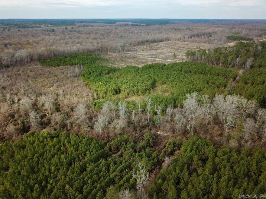For the serious whitetail hunter, this 120-acre property just 10 minutes west of Warren, Arkansas, is a true gem. With 80 acres of clear-cut land, you’ve got the perfect blank canvas for establishing strategic food plots that will draw deer in from miles around. The clearings offer excellent opportunities for creating natural funnels, setting up well-planned tracks for deer movement, and giving you optimal shooting lanes while they travel between cover and feeding areas.  The remaining 35 acres of mature timber provides exceptional cover and sanctuary for whitetails looking for safety and solitude. This hardwood stand acts as a natural bedding area, where deer can feel secure and unpressured—ideal for setting up blinds or stands along the edges as bucks move in and out. The thick timber and diverse habitat make this a prime spot for holding game year-round.  A meandering creek cuts through the property, supplying a reliable water source for wildlife, making this land even more attractive to the local deer population. The creek, combined with the available cover, offers everything a trophy buck needs—food, water, and safety—all in one place.
