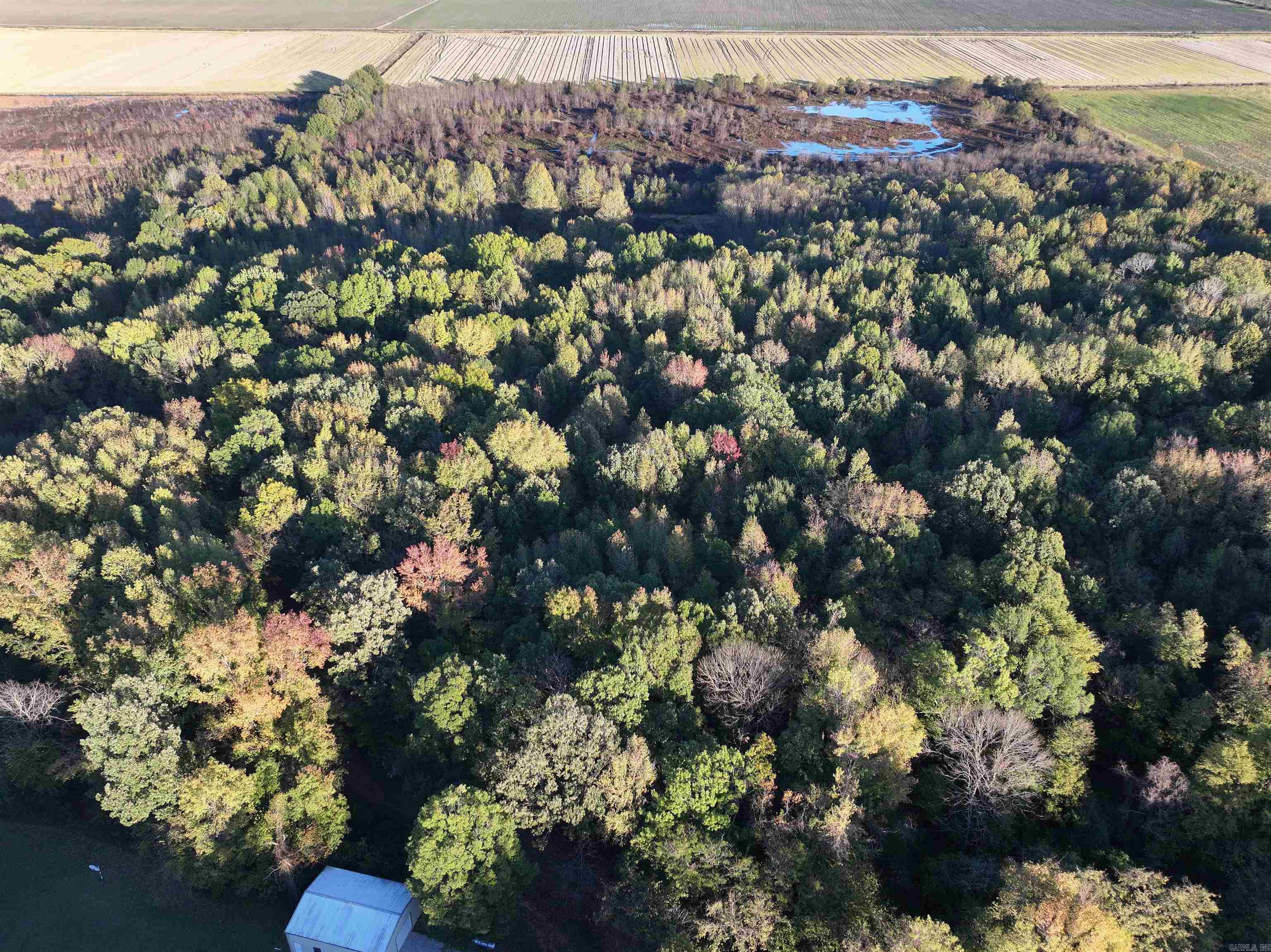 Here's your chance to own 30+/- acres on the beautiful Crowley's Ridge. Build your dream home or take advantage of the abundant wildlife and use it for a great hunting spot! Property on the ridge is hard to come by so don't pass this one by. Recently surveyed and a blank slate for your vision to come to life! Call your favorite realtor to schedule a showing.