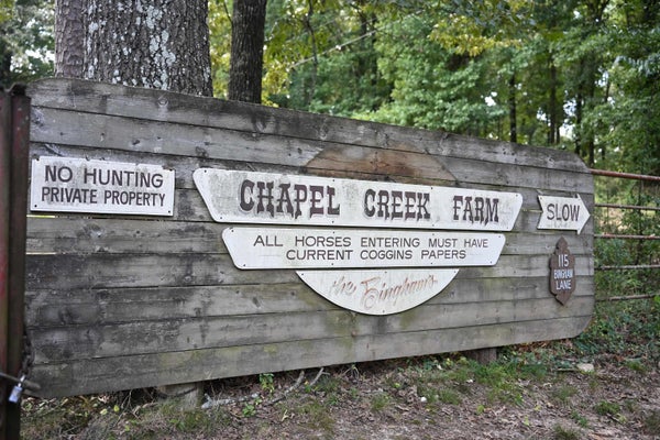 115 BINGHAM LN, DE QUEEN, AR 71832 - Image 6511fcdab74e9dbbfe6098117fa06d61/3364792453