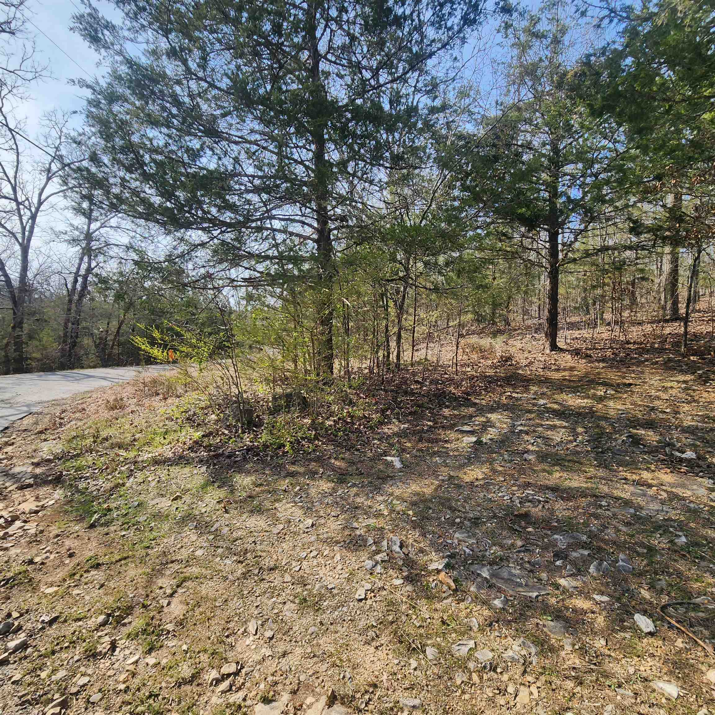 Chickasaw Third - Land