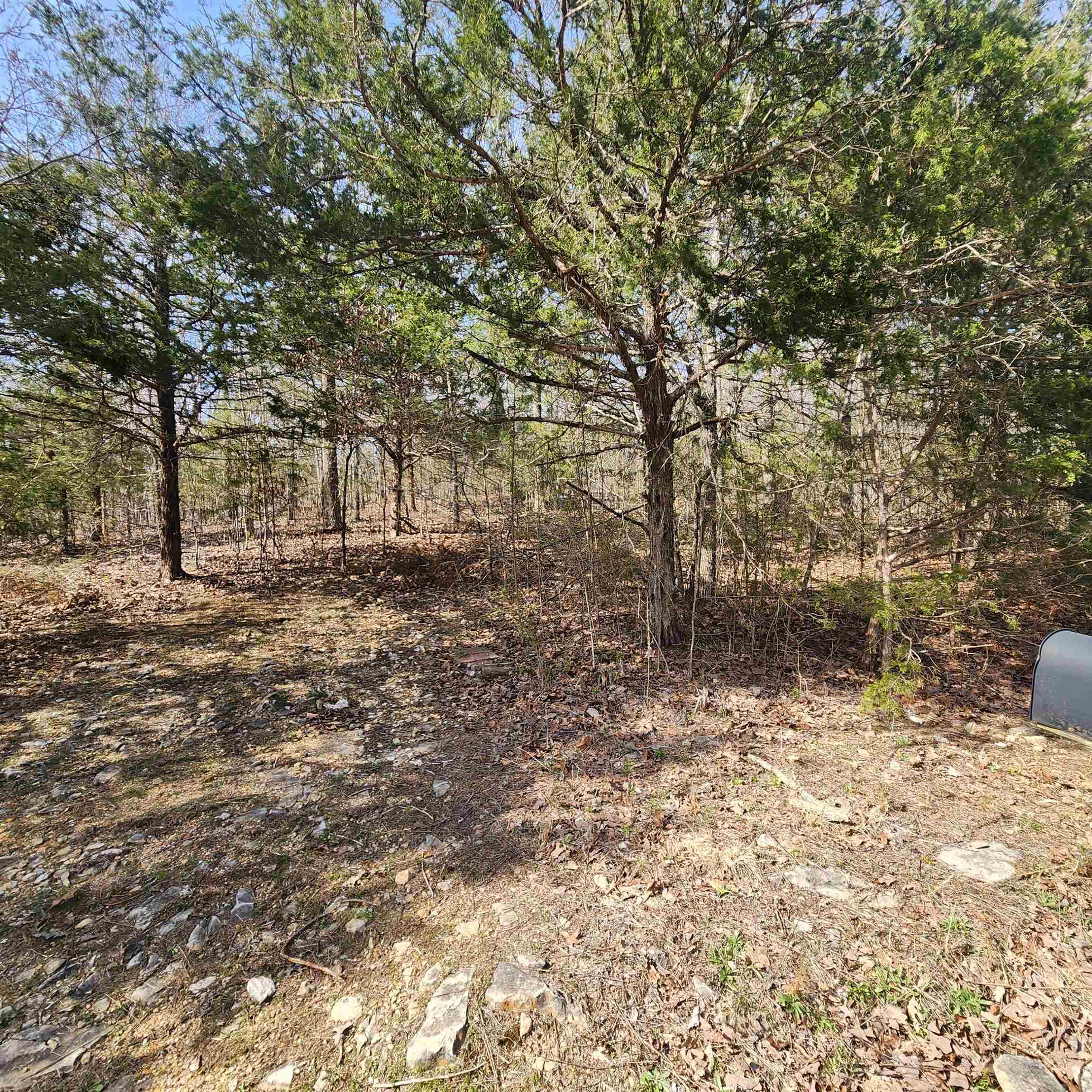 Chickasaw Third - Land