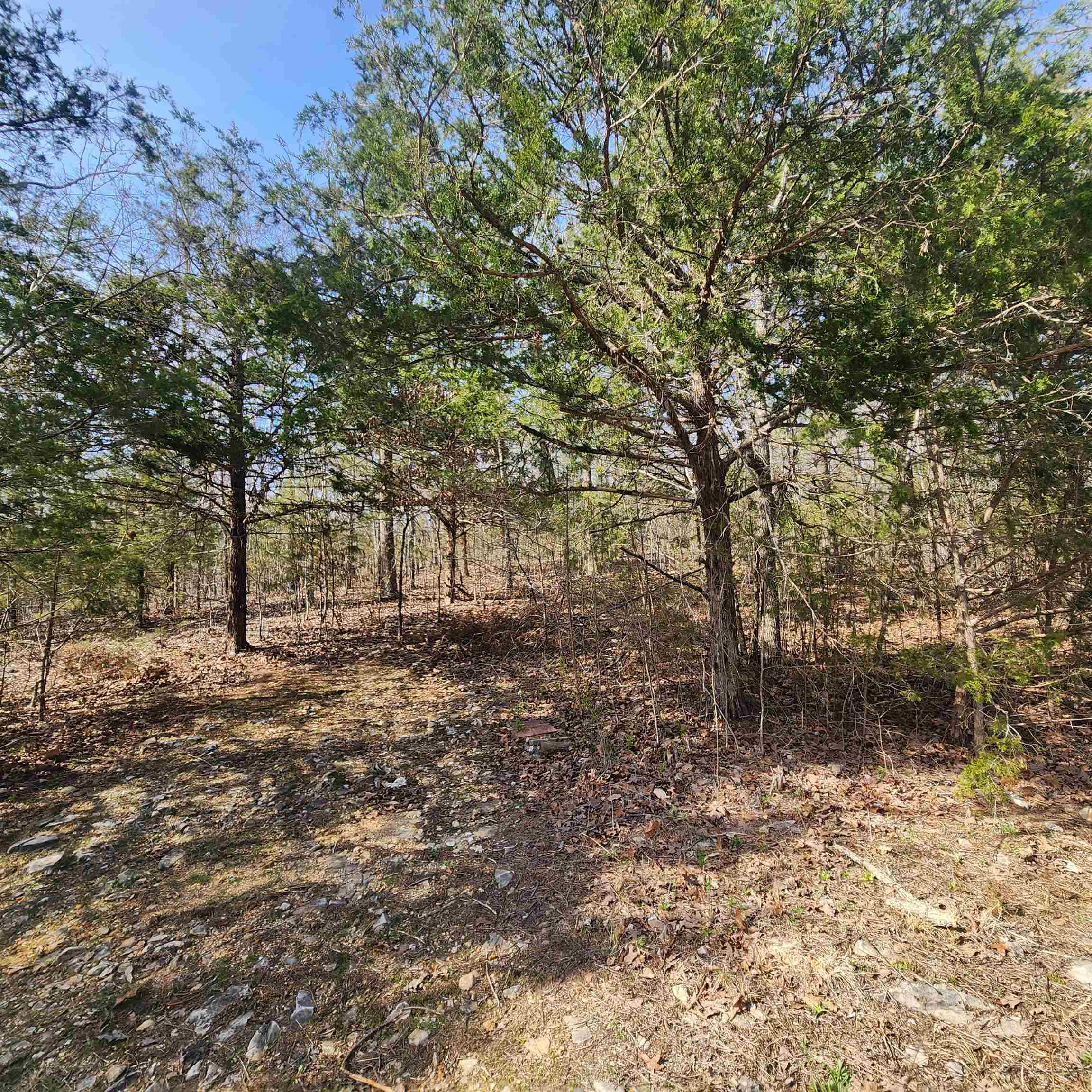 Chickasaw Third - Land