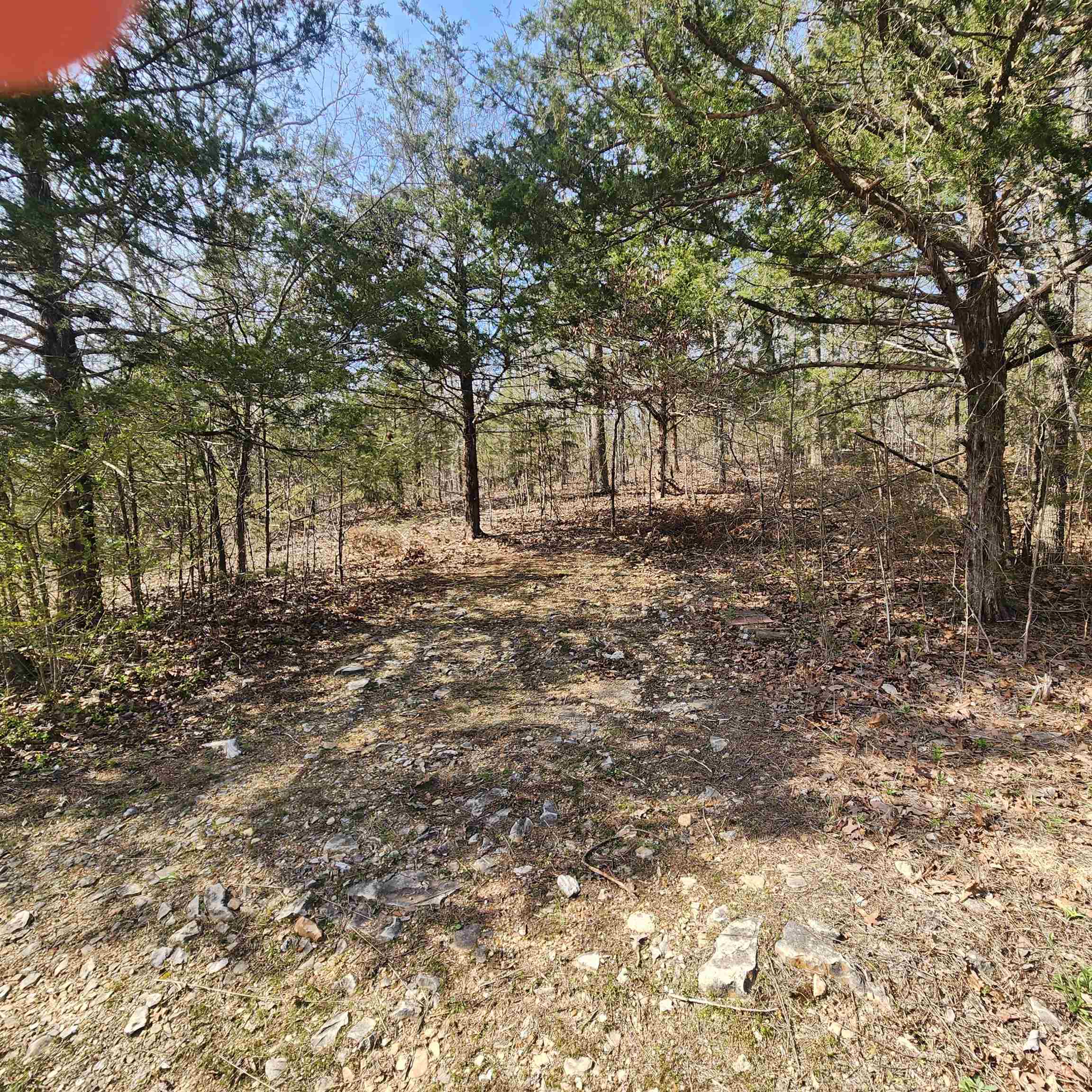 Chickasaw Third - Land