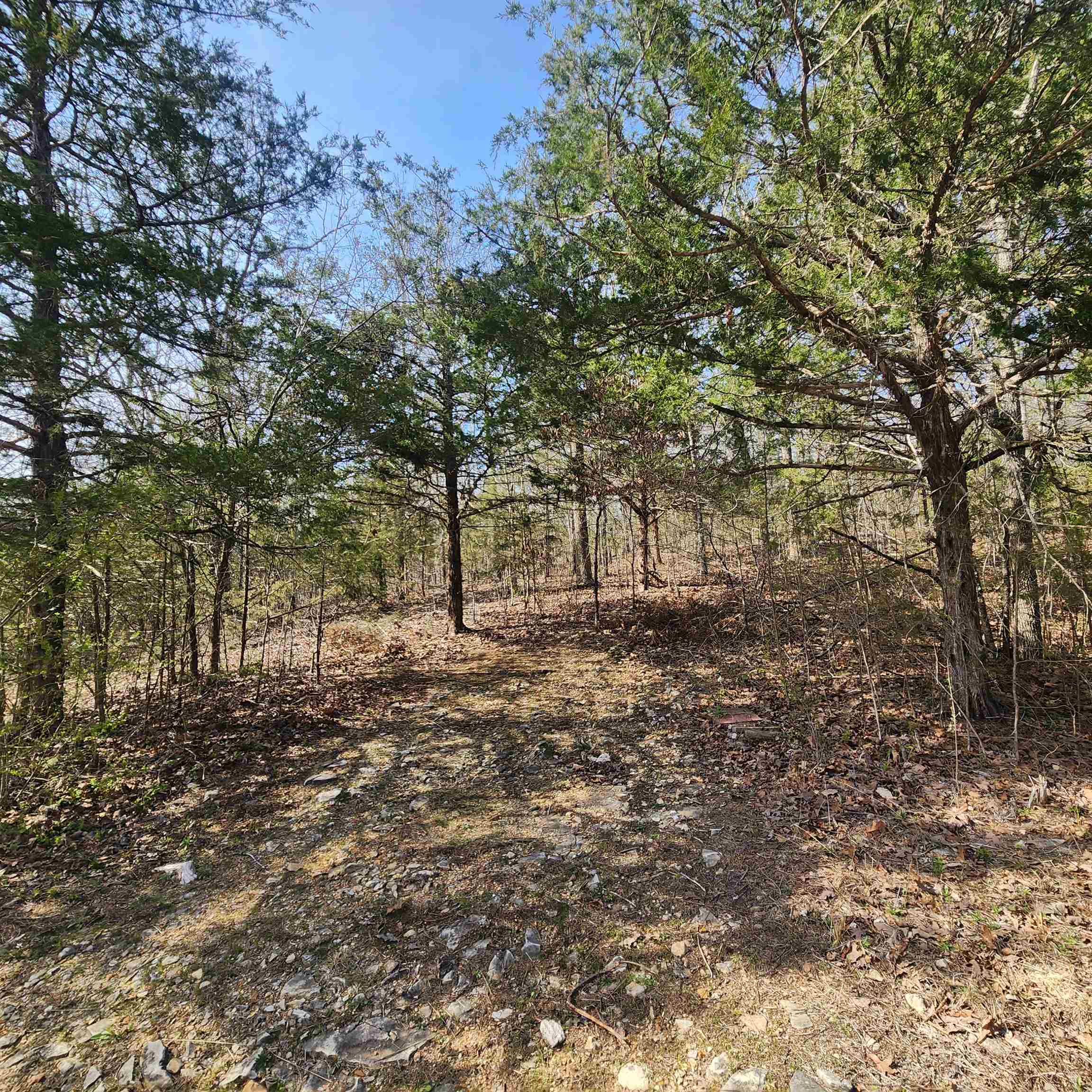 Chickasaw Third - Land