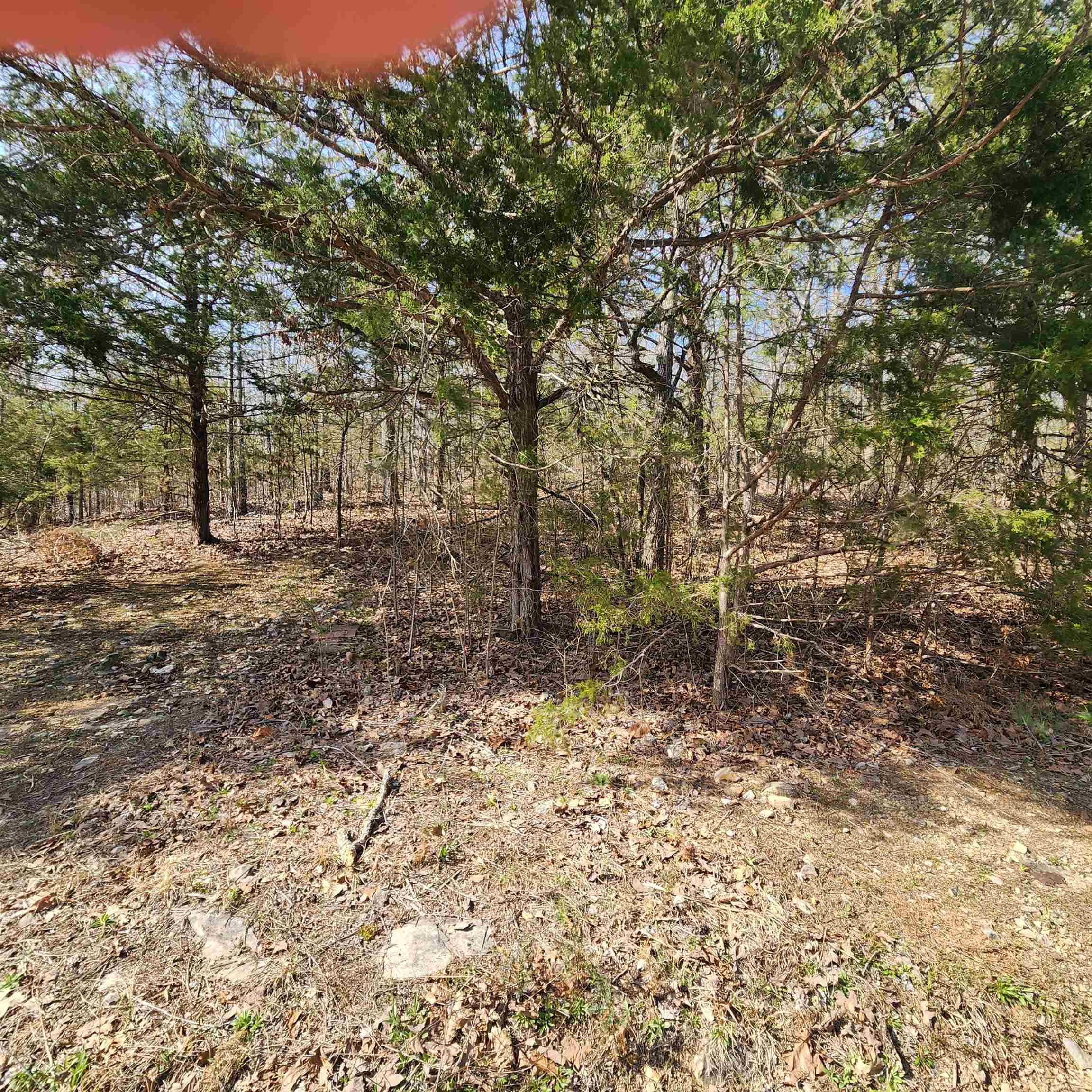 Chickasaw Third - Land