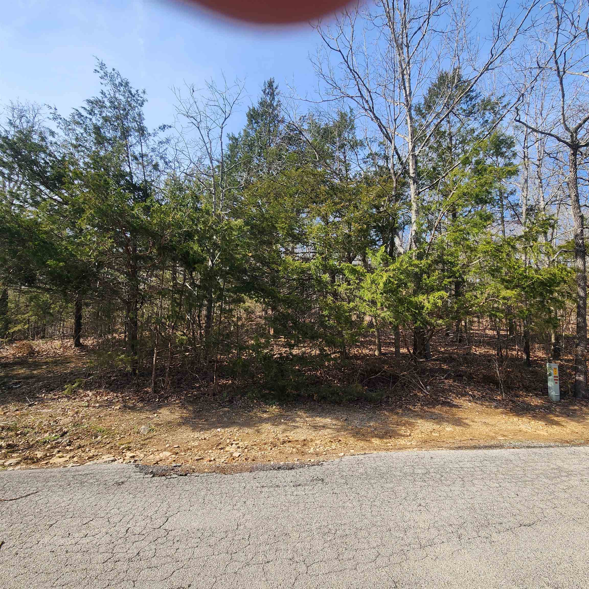 Chickasaw Third - Land