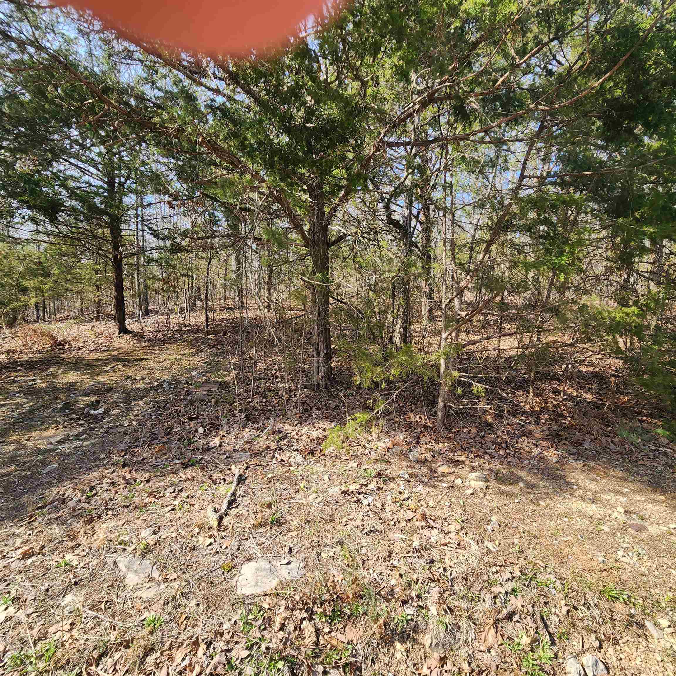 Chickasaw Third - Land