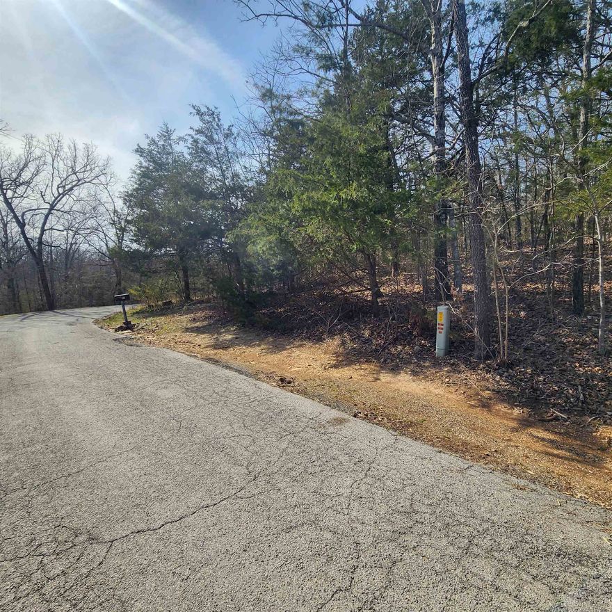 This is a fairly level lot with a gentle uphill slope. Easy access to the 4-lane highway for shopping and dining. This is a nice, wooded lot just waiting for you to come pick the spot you want to build your dream home on. With property ownership comes access to all the amenities of Cherokee Village. 7 Lakes, 2 Golf courses, 2 recreational centers and don't forget about the beautiful Southfork River that meanders right through Cherokee Village.