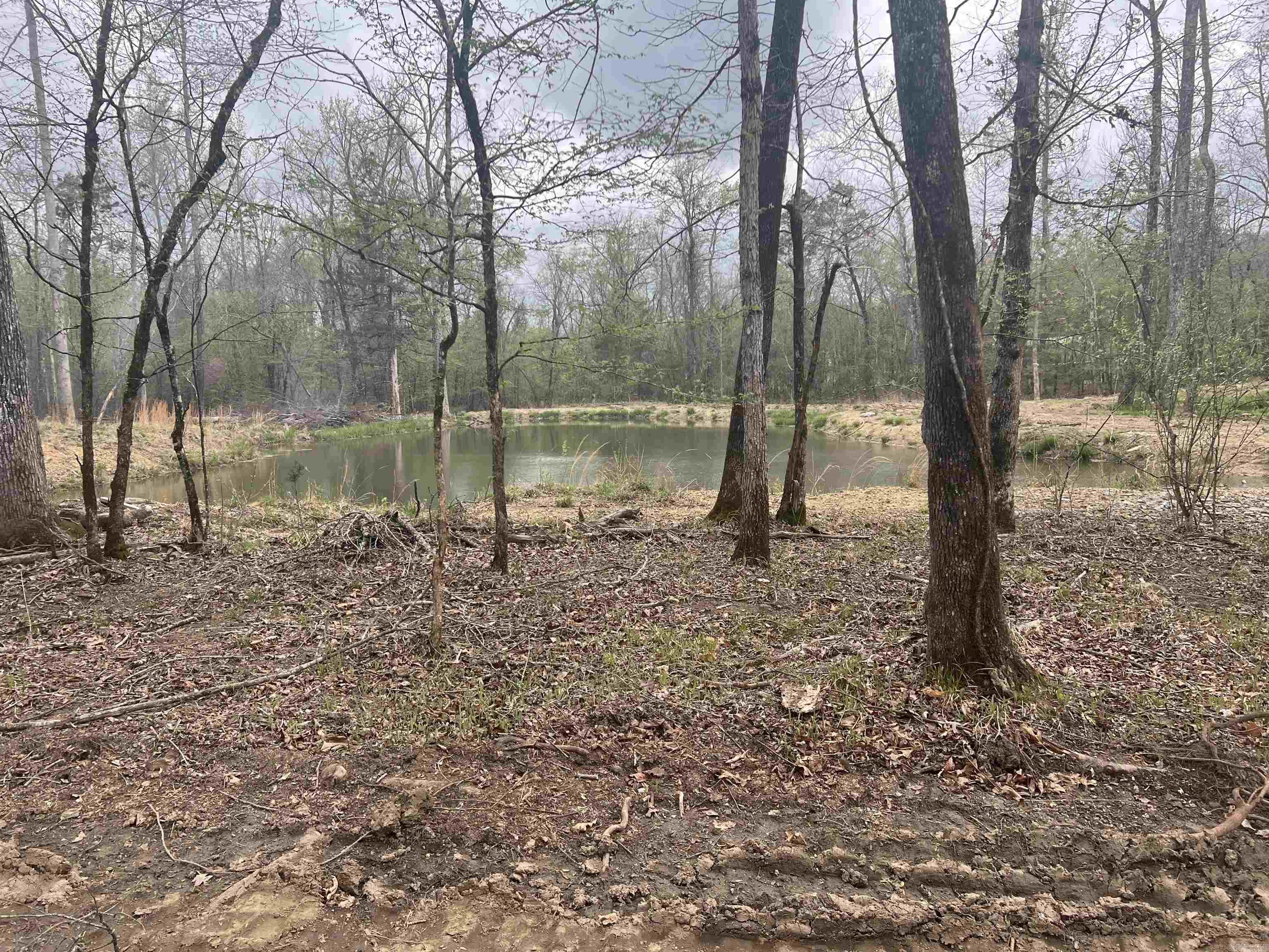 LITTLE BLAKELY - Residential