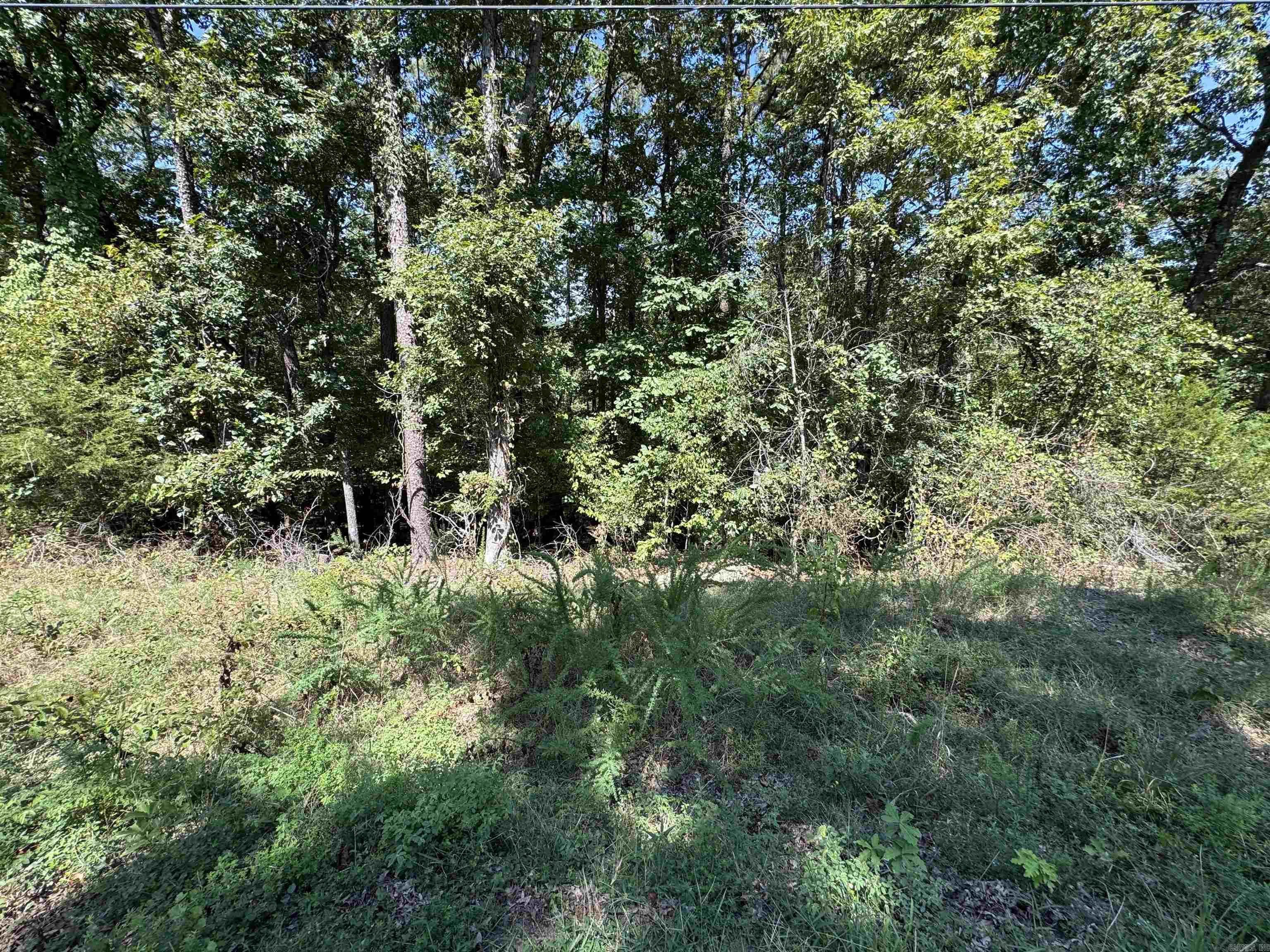 Seeking a Lakefront Lot to build your home upon? This lakefront lot is one of a few remaining in Mystic Isle. Approx 0.57 acres Lakefront Lot. Nearby homes / lots have qualified for walking path permits to the take too. Does not qualify for a boat dock. Potential for a stunning view of Greers Ferry Lakes Middle Fork. Beach your boat while walking to and from the future home you will build on this lot too. Drone footage coming soon too! SEE AGENT REMARKS.
